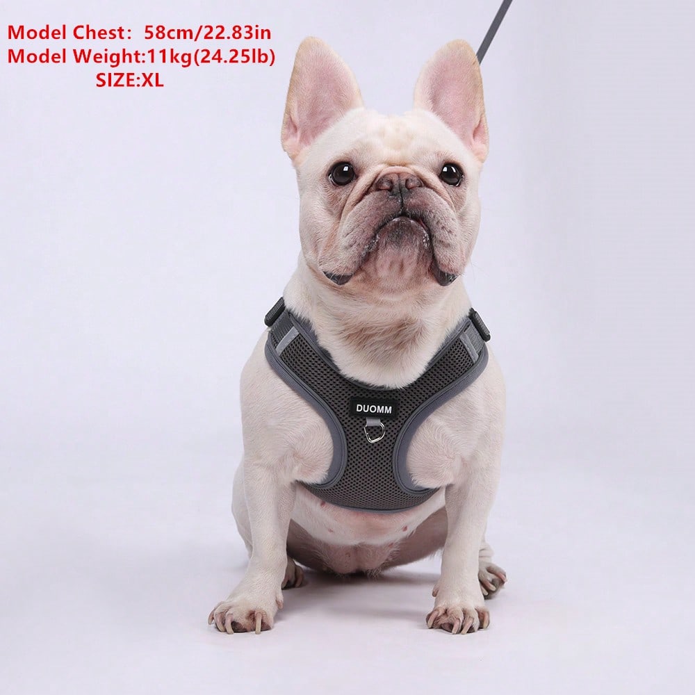 Black reflective dog leash set with adjustable polyester harness and collar, soft breathable mesh design for small and medium dogs during outdoor walks
