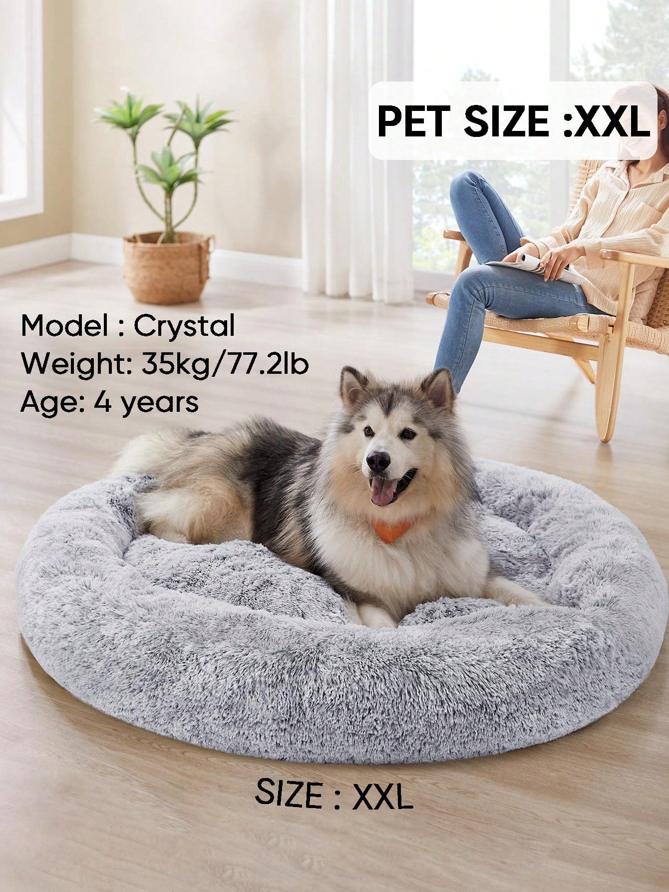 Local1pc Plush Round Pet Bed Comfortable And Warm Suitable For Large, Medium And Small Cats And Dogs Sleeping In Four Seasons