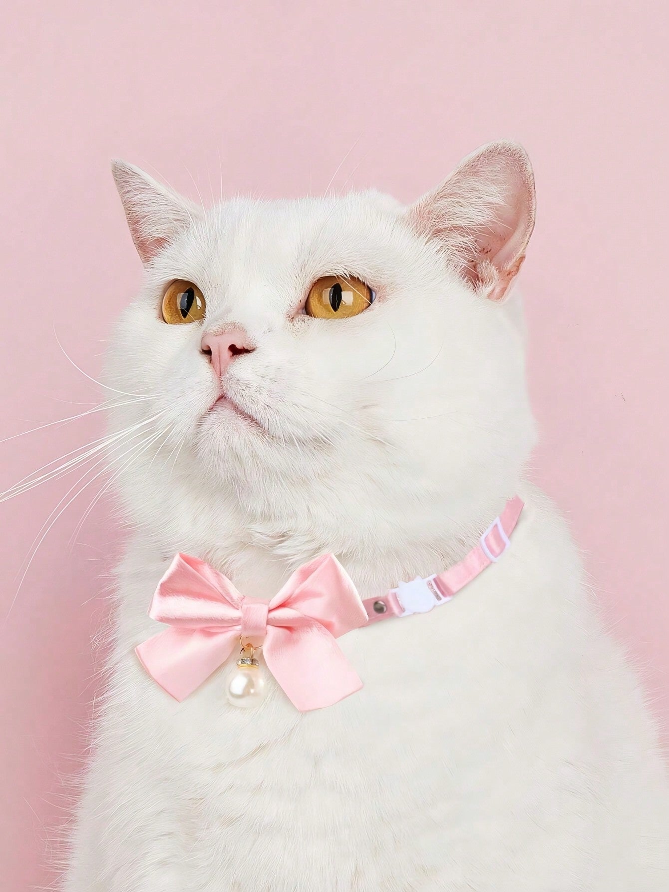 Pink floral breakaway cat collar with bow, pearls, and lace-style details for an adjustable kitten or girl cat collar.