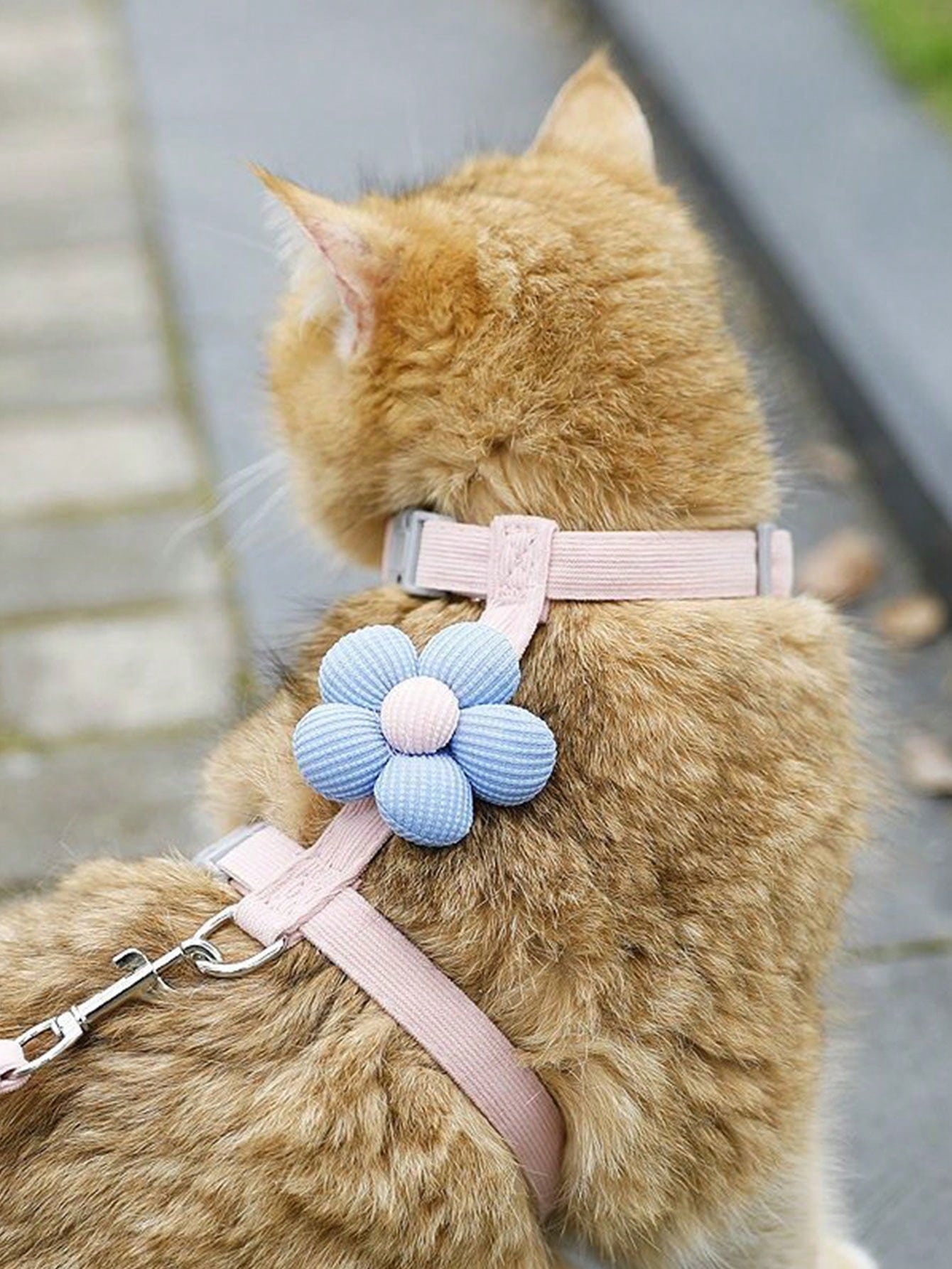 Multicolor flower-shaped cat harness with leash, striped pattern, lightweight polyester pet traction set for cats