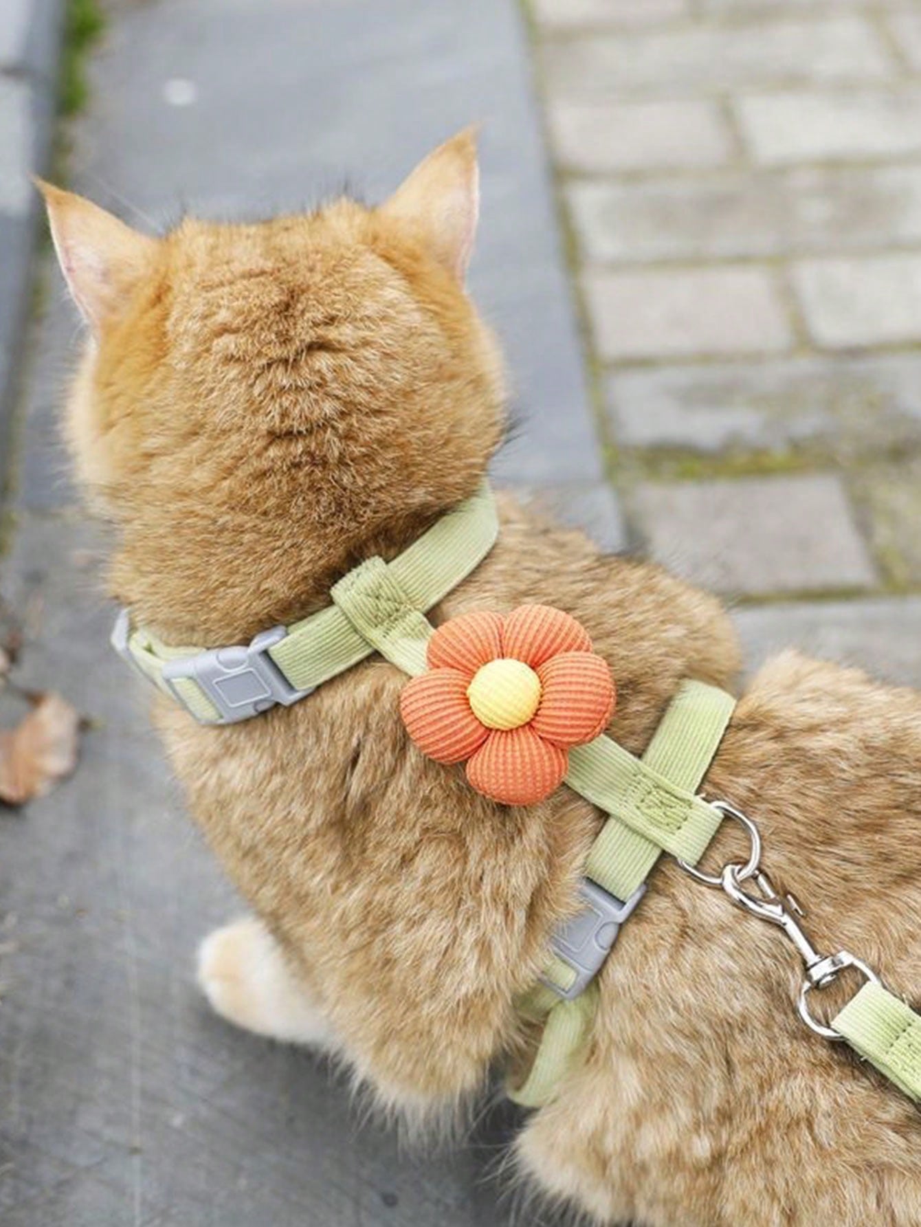 Multicolor flower-shaped cat harness with leash, striped pattern, lightweight polyester pet traction set for cats