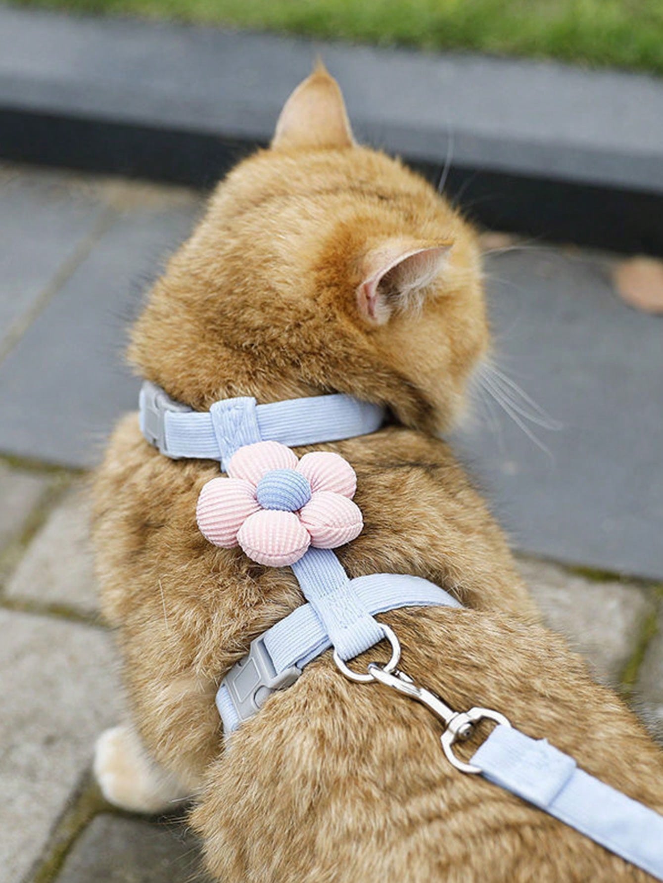 Multicolor flower-shaped cat harness with leash, striped pattern, lightweight polyester pet traction set for cats