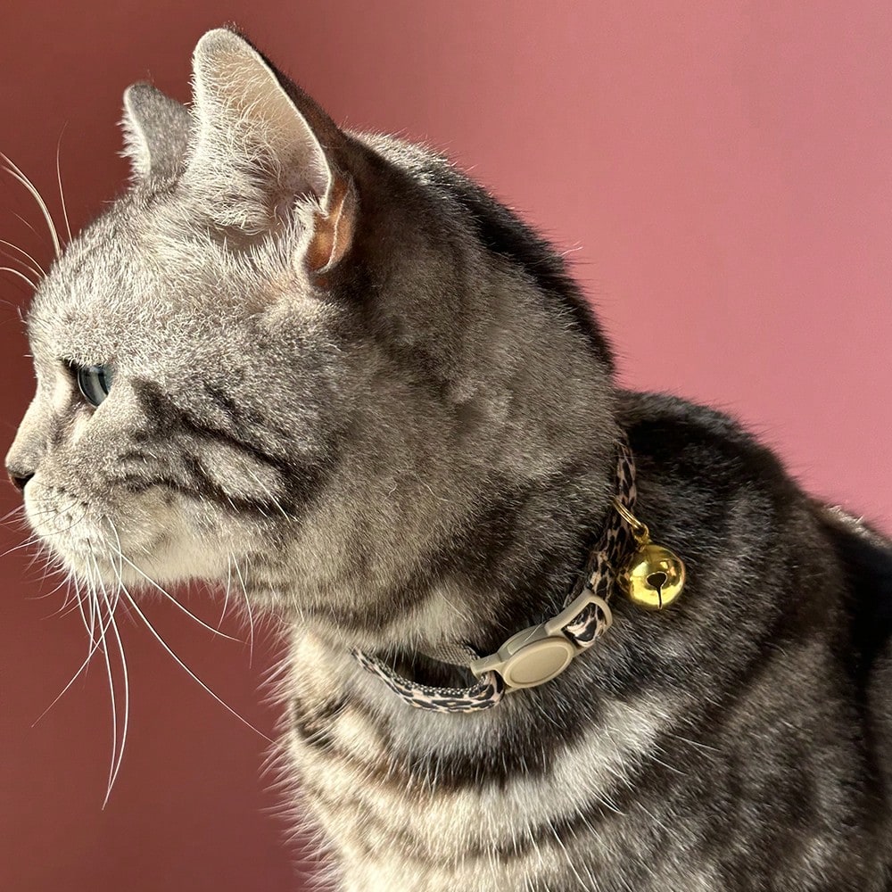 Leopard print adjustable cat collar with golden bell for cats and small pets, made from multicolor polyester.