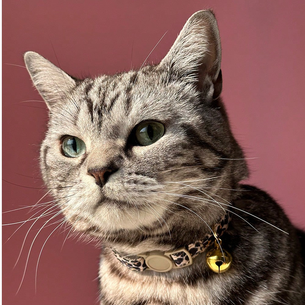 Leopard print adjustable cat collar with golden bell for cats and small pets, made from multicolor polyester.