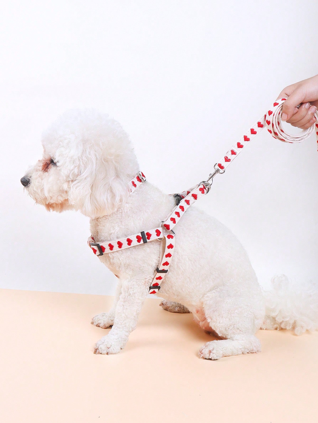 Black polyester 3-piece pet collar, harness, and leash set with heart pattern for small dogs and cats