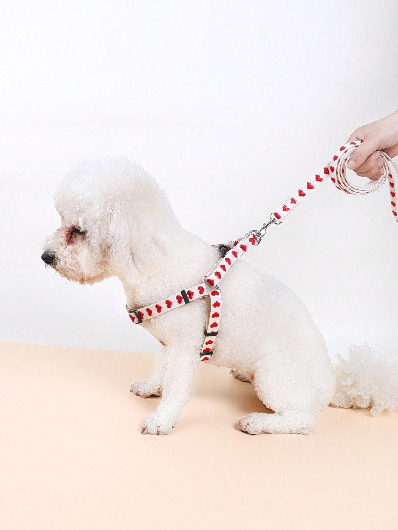 Black polyester 3-piece pet collar, harness, and leash set with heart pattern for small dogs and cats