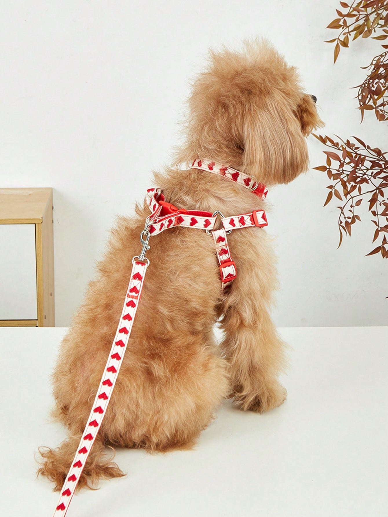 Black polyester 3-piece pet collar, harness, and leash set with heart pattern for small dogs and cats