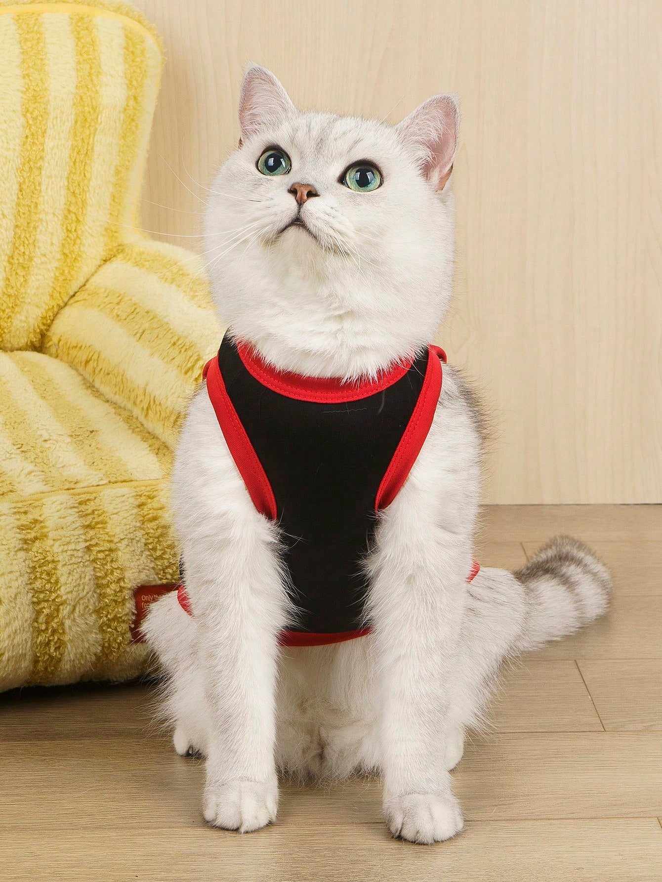 2pcs/Set Polyester Spider & Bat Print Anti-Flea Anti-Shedding Breathable Pet Vest Jacket, Suitable For Cats And Dogs Indoor And Outdoor Use