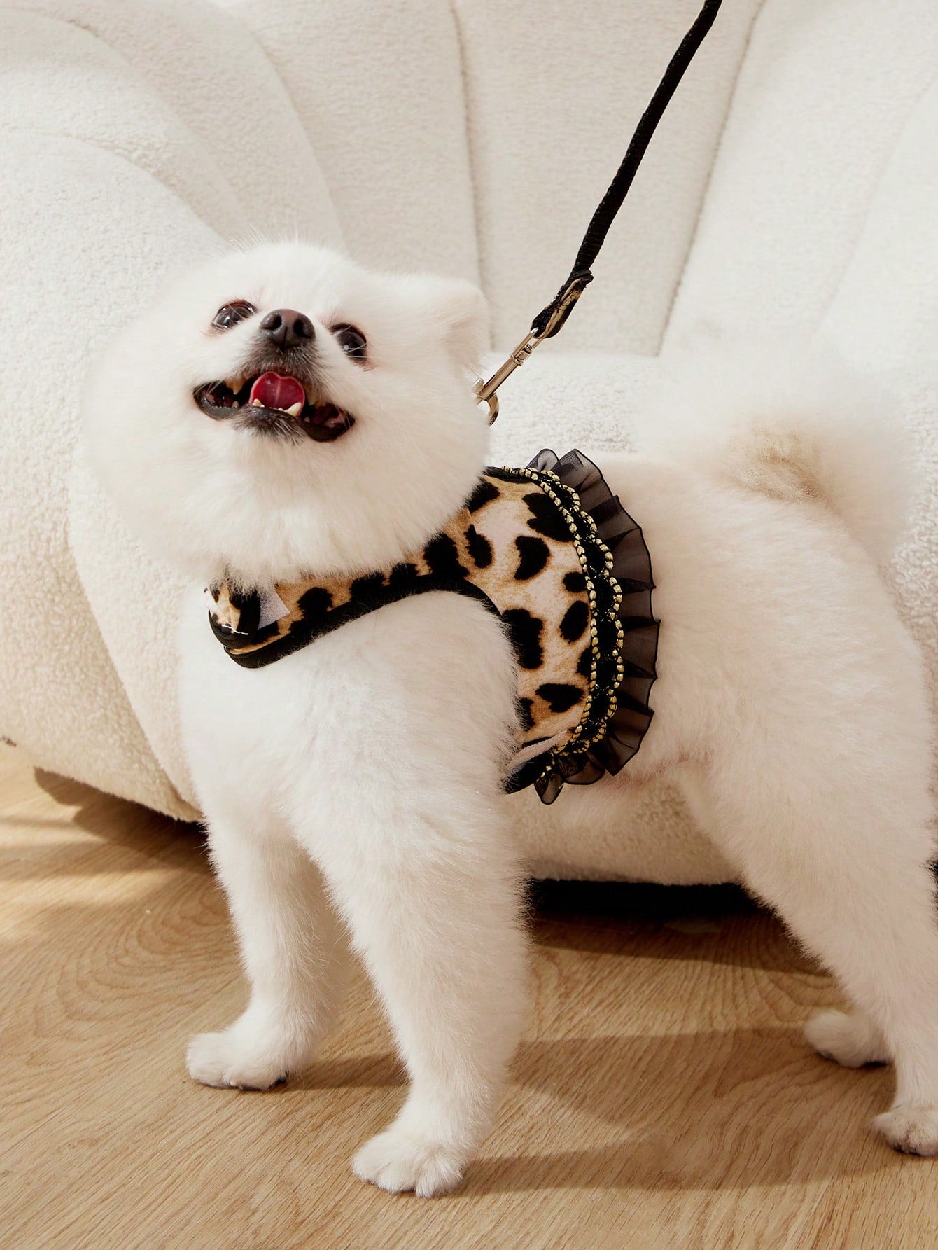 Multicolor leopard print lace edged bra cup style pet collar and leash set for cats and dogs in polyester