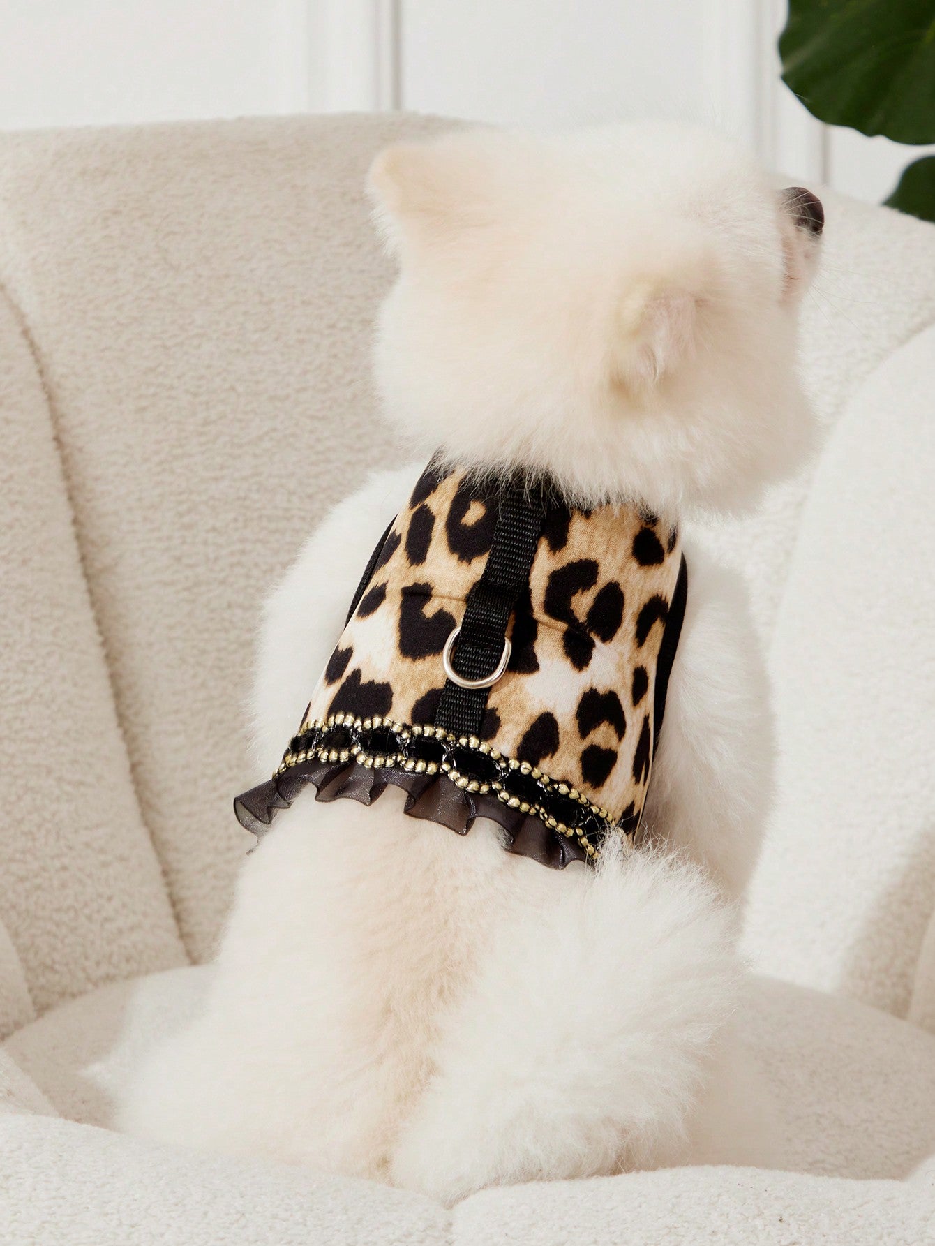 Multicolor leopard print lace edged bra cup style pet collar and leash set for cats and dogs in polyester
