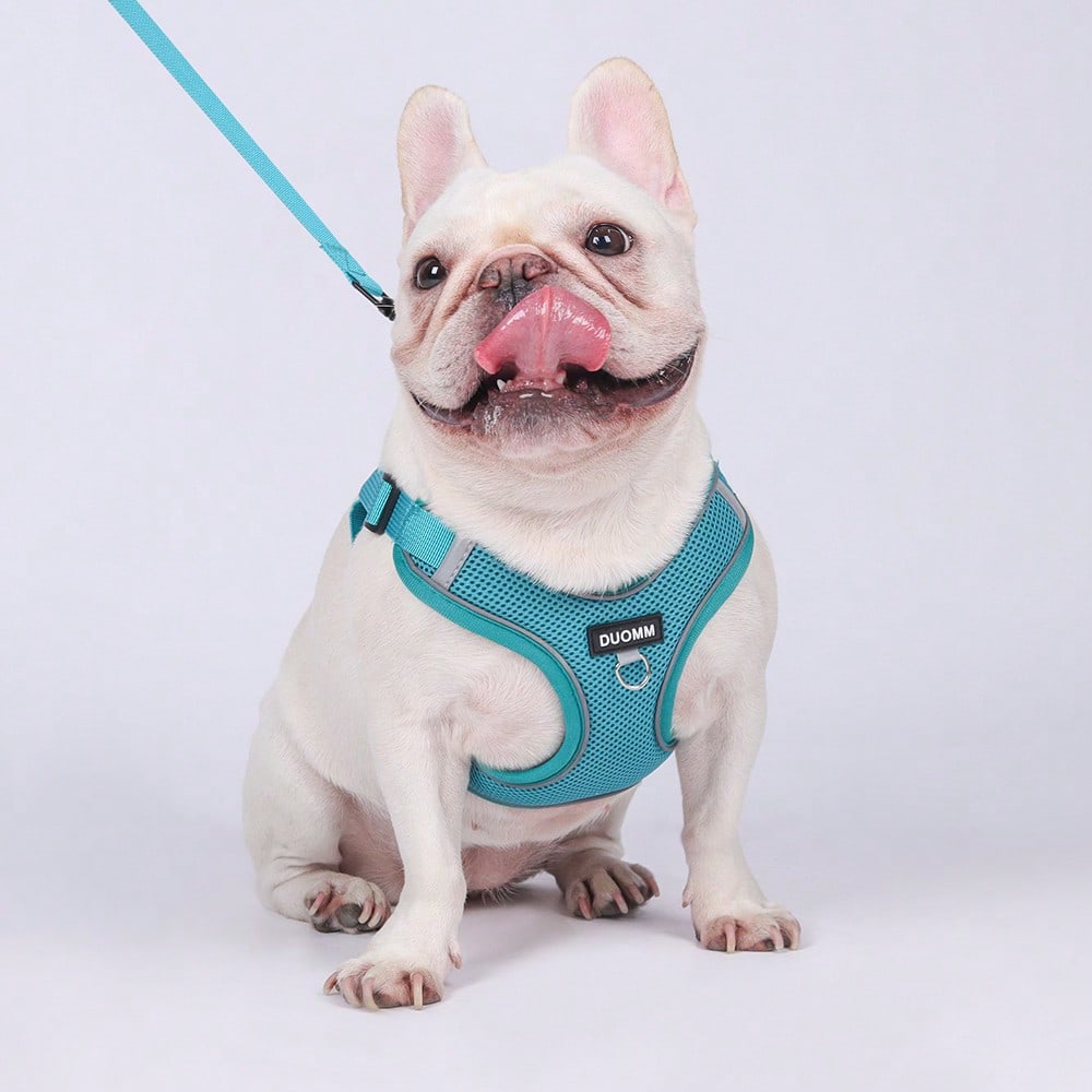 Black reflective dog leash set with adjustable polyester harness and collar, soft breathable mesh design for small and medium dogs during outdoor walks