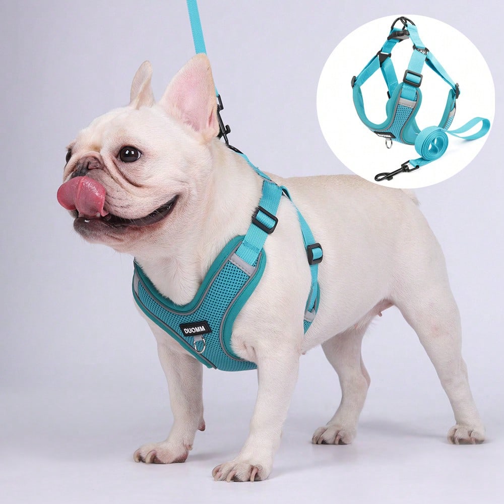 Black reflective dog leash set with adjustable polyester harness and collar, soft breathable mesh design for small and medium dogs during outdoor walks
