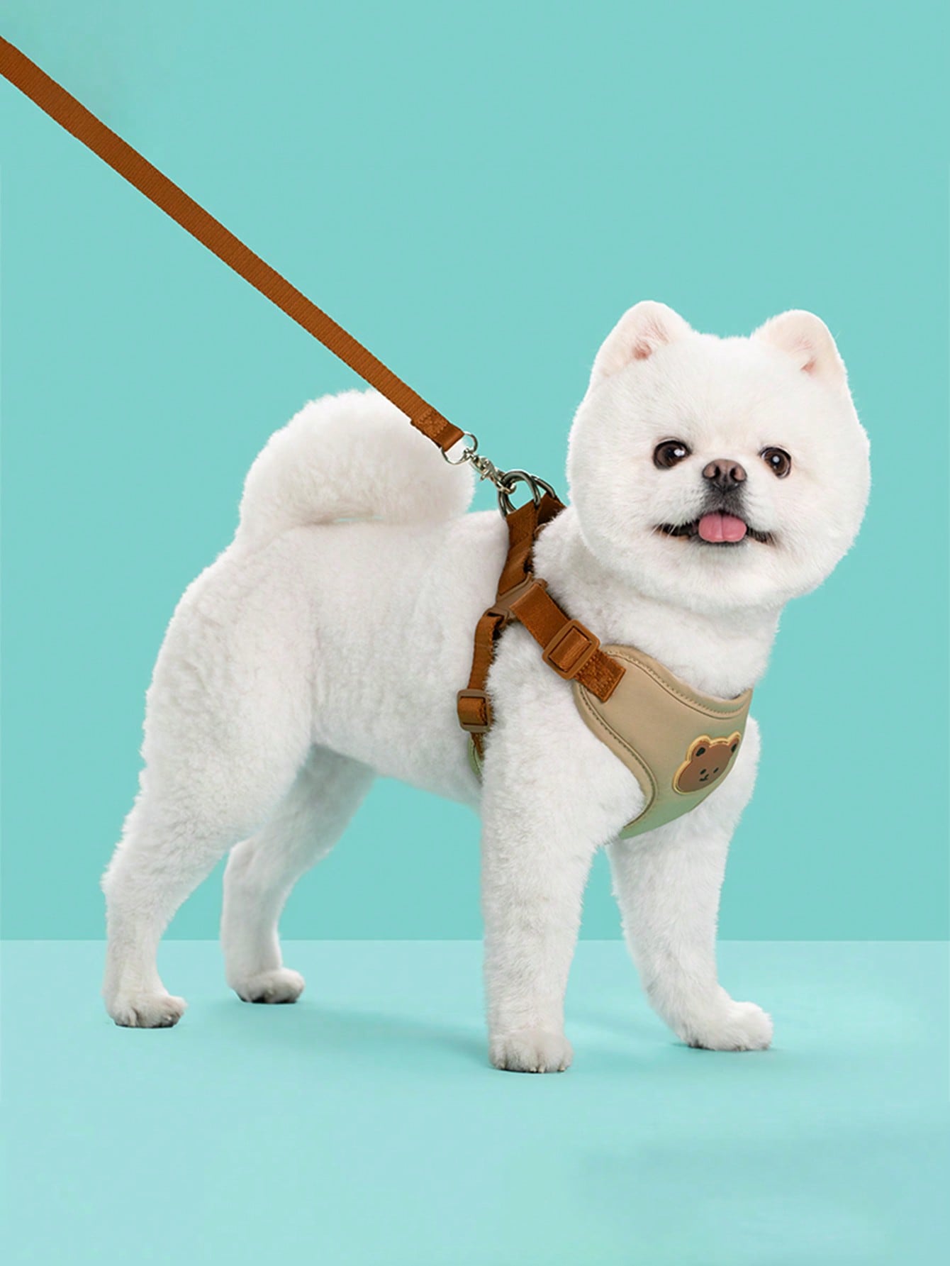 Multicolor polyester dog leash and collar set with plaid teddy bear pattern for small dogs and outdoor walking