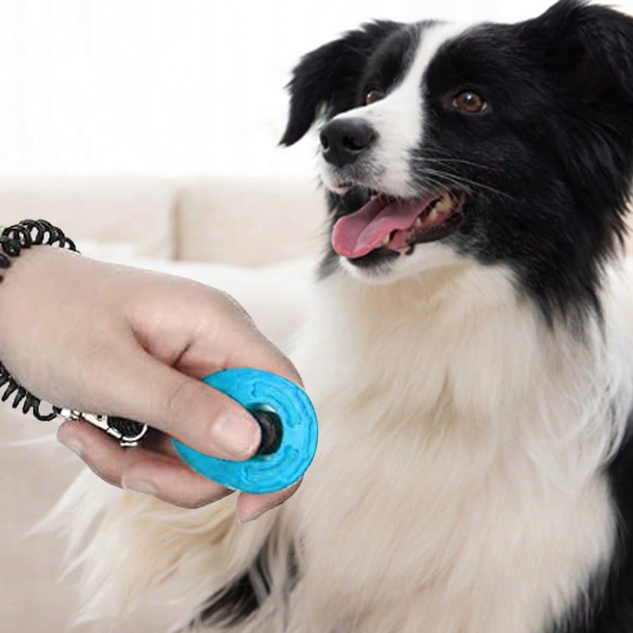 New Pet Training Clicker With Colorful Clickers Training Kit, Suitable For Dogs And Cats, Soft Rubber Wrist Band Design, Flexible And Comfortable Wear, Button Operation Won't Fatigue The Hand During Animal Training