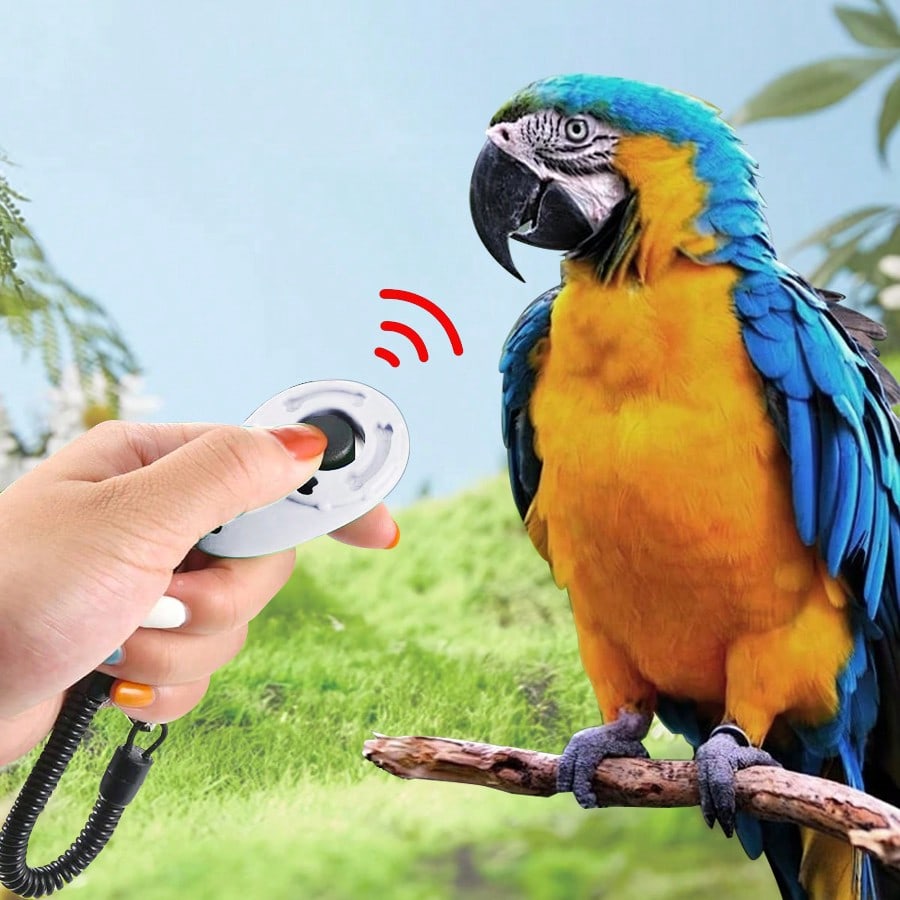 New Pet Training Clicker With Colorful Clickers Training Kit, Suitable For Dogs And Cats, Soft Rubber Wrist Band Design, Flexible And Comfortable Wear, Button Operation Won't Fatigue The Hand During Animal Training