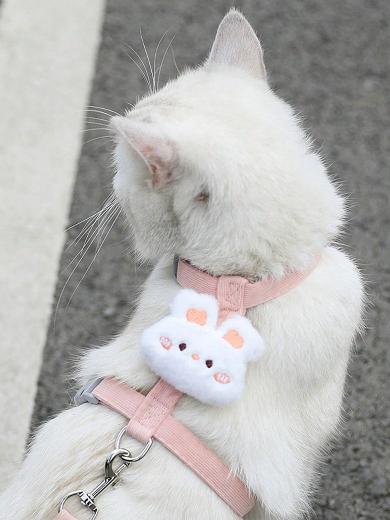 Multicolor flower-shaped cat harness with leash, striped pattern, lightweight polyester pet traction set for cats