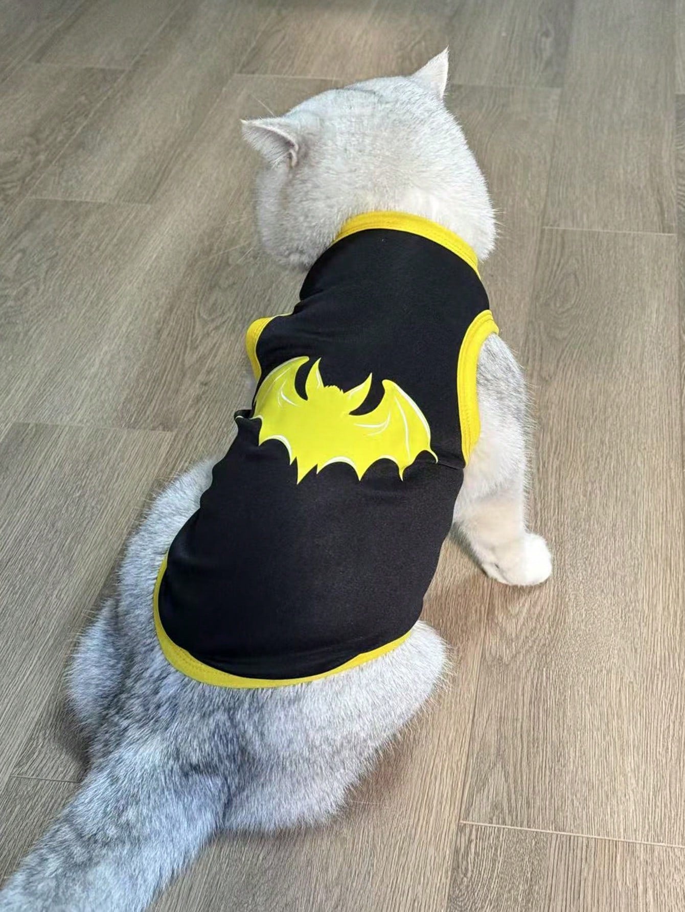 2pcs/Set Polyester Spider & Bat Print Anti-Flea Anti-Shedding Breathable Pet Vest Jacket, Suitable For Cats And Dogs Indoor And Outdoor Use