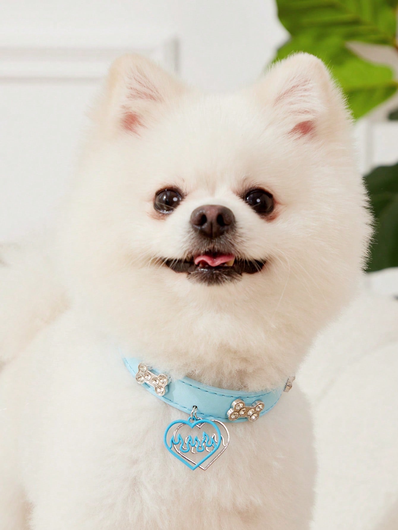 Mint blue colorblock PU pet collar necklace with bone and heart decorations and leash clip for cats and dogs