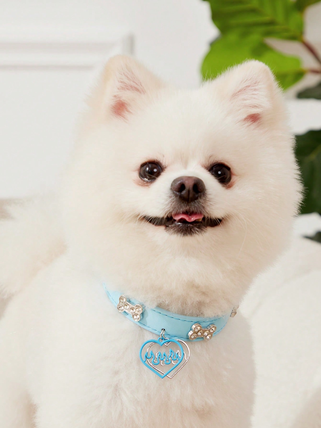 Mint blue colorblock PU pet collar necklace with bone and heart decorations and leash clip for cats and dogs