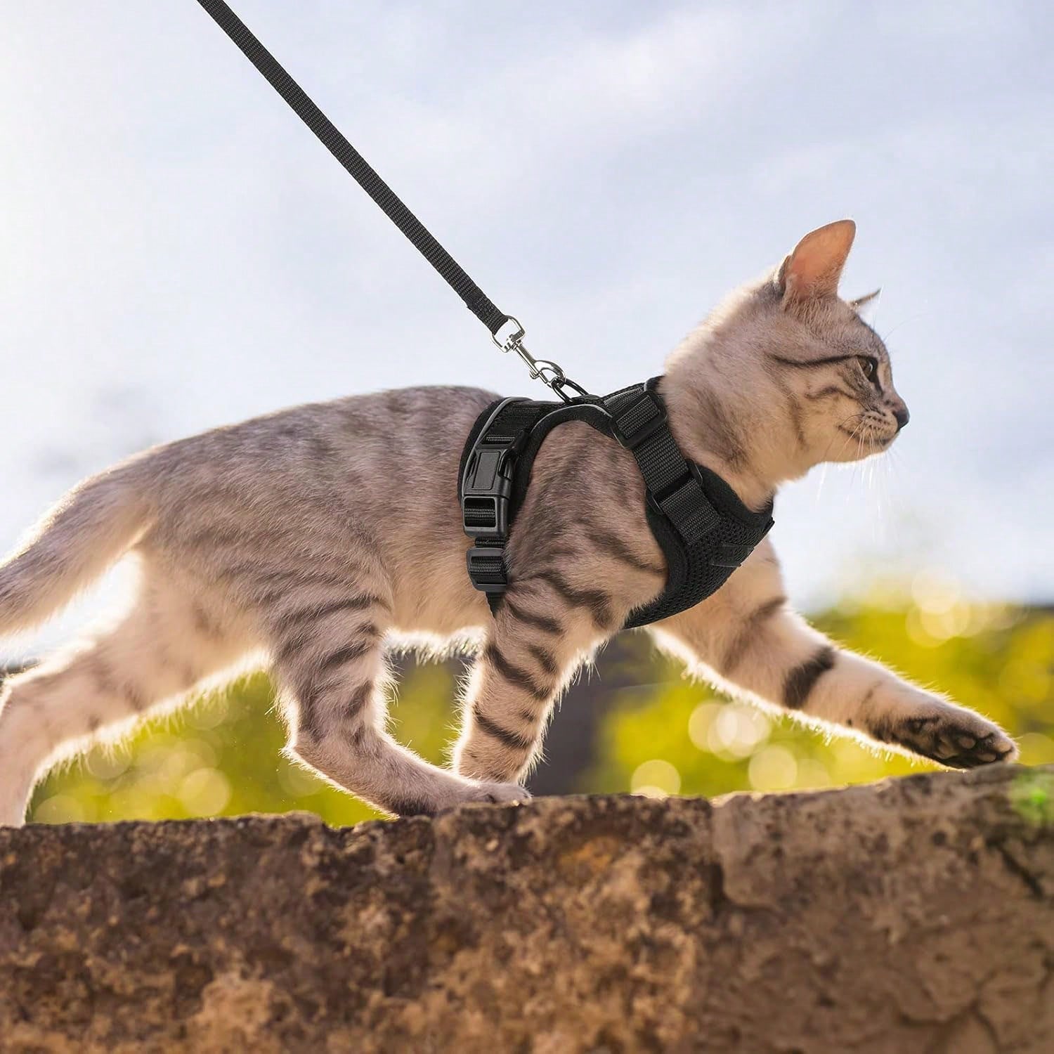 Black adjustable polyester cat harness vest with matching leash, escape-proof design, breathable reflective jacket style for walking and easy control