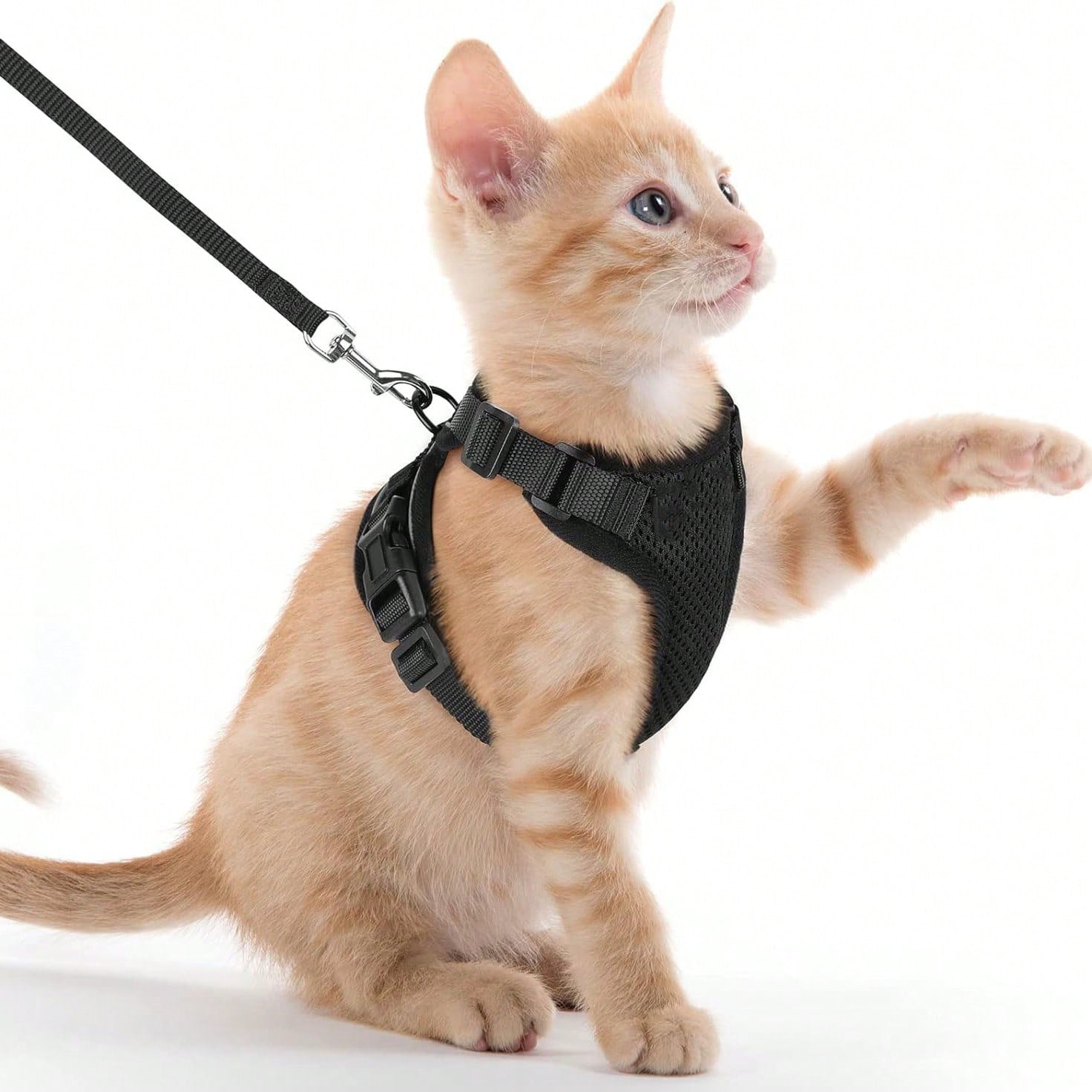 Black adjustable polyester cat harness vest with matching leash, escape-proof design, breathable reflective jacket style for walking and easy control