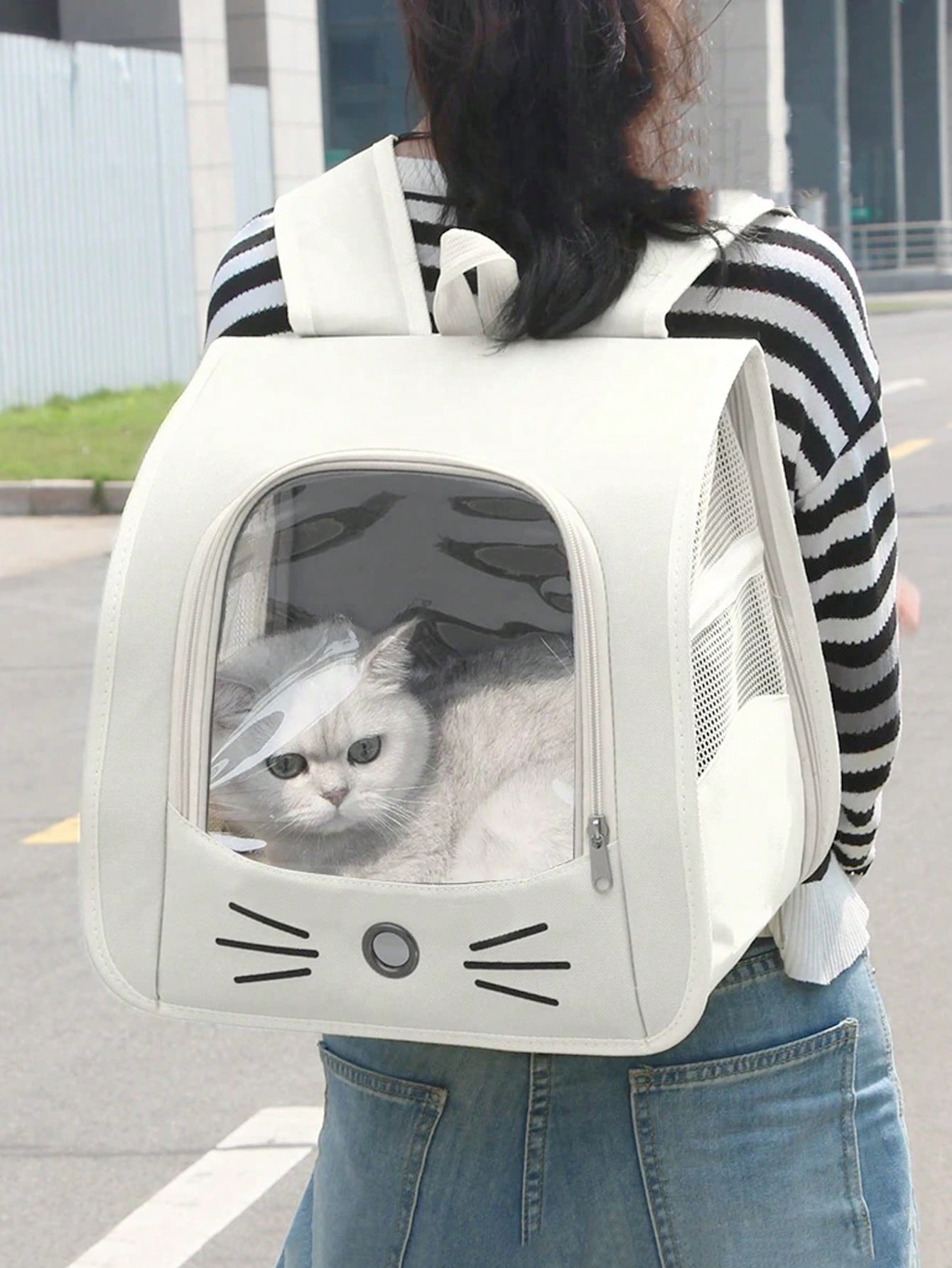 Multicolor transparent breathable pet backpack carrier made of Oxford polyester fabric with shoulder strap for small dogs and cats up to 13lbs.