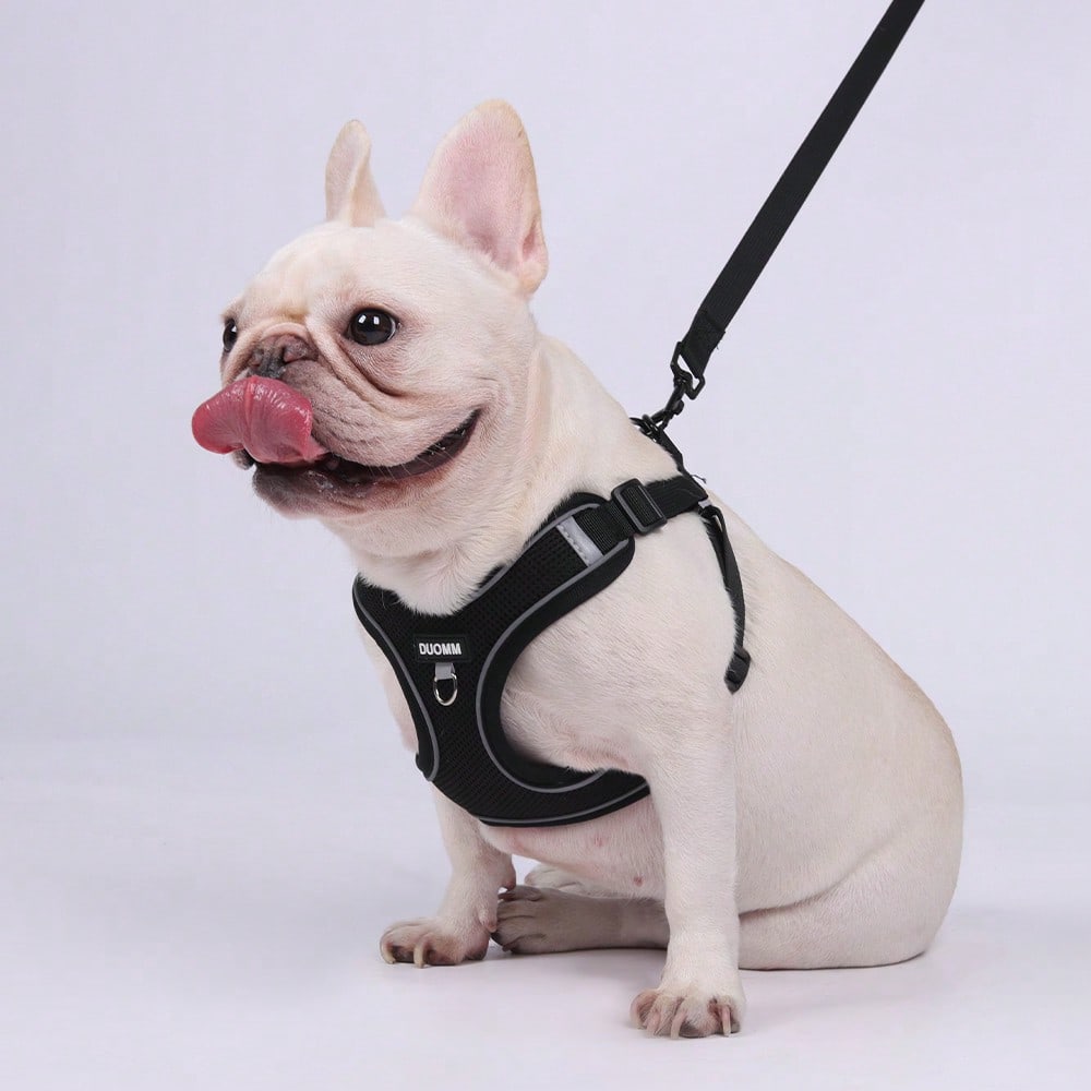 Black reflective dog leash set with adjustable polyester harness and collar, soft breathable mesh design for small and medium dogs during outdoor walks