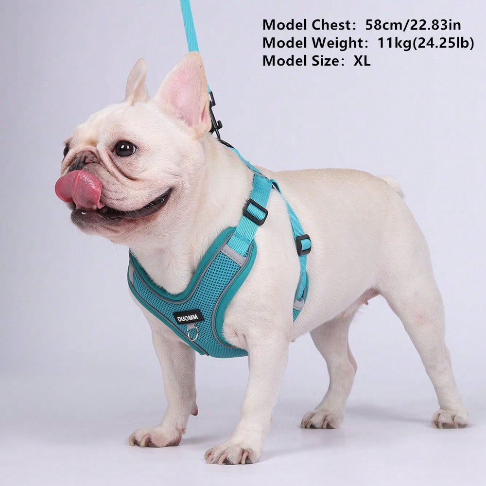 Black reflective dog leash set with adjustable polyester harness and collar, soft breathable mesh design for small and medium dogs during outdoor walks