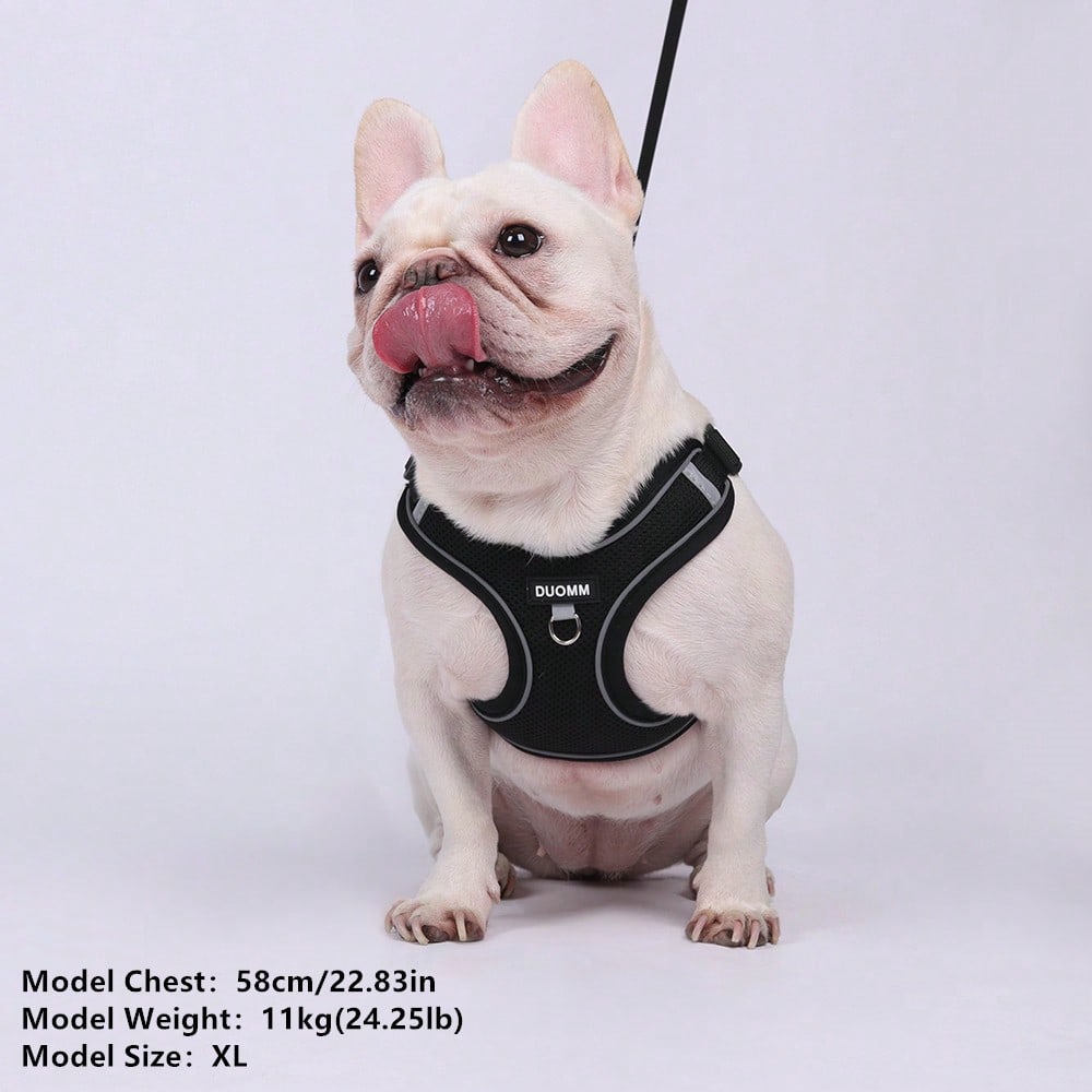 Black reflective dog leash set with adjustable polyester harness and collar, soft breathable mesh design for small and medium dogs during outdoor walks