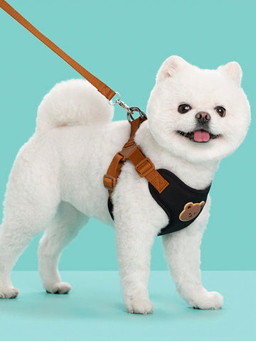 Multicolor polyester dog leash and collar set with plaid teddy bear pattern for small dogs and outdoor walking