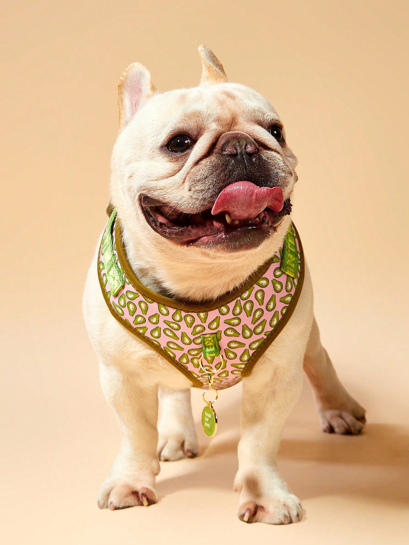 Multicolor printed dog harness with matching zinc alloy ID tag for dogs and puppies, featuring cartoon, geometric, and plant pattern styles.