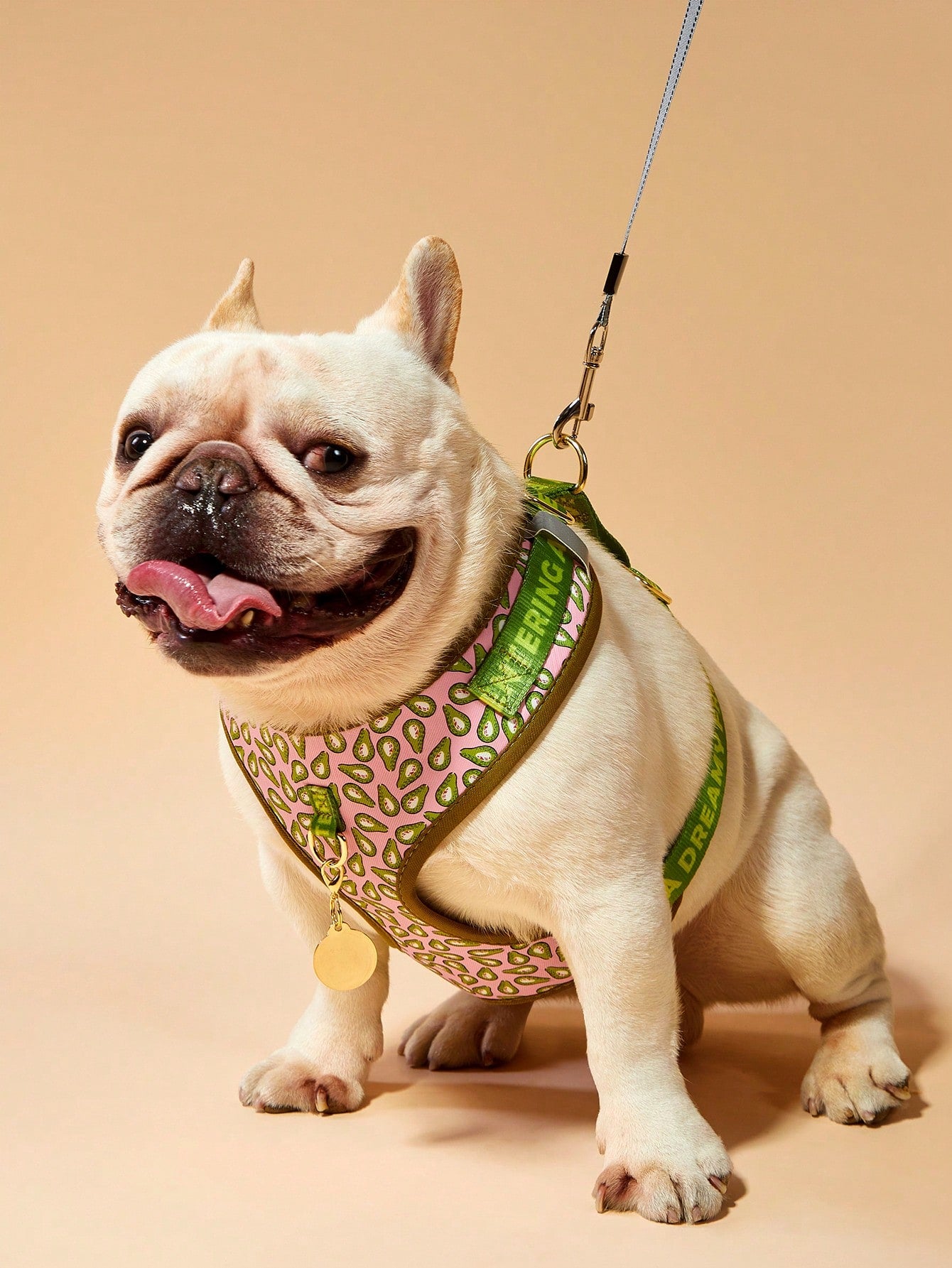 Multicolor printed dog harness with matching zinc alloy ID tag for dogs and puppies, featuring cartoon, geometric, and plant pattern styles.