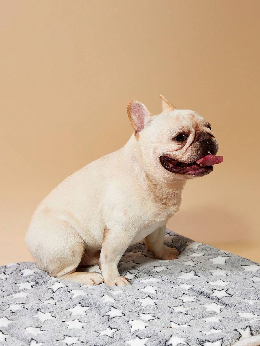 Grey thick pet blanket with geometric print for small and medium dogs and cats.