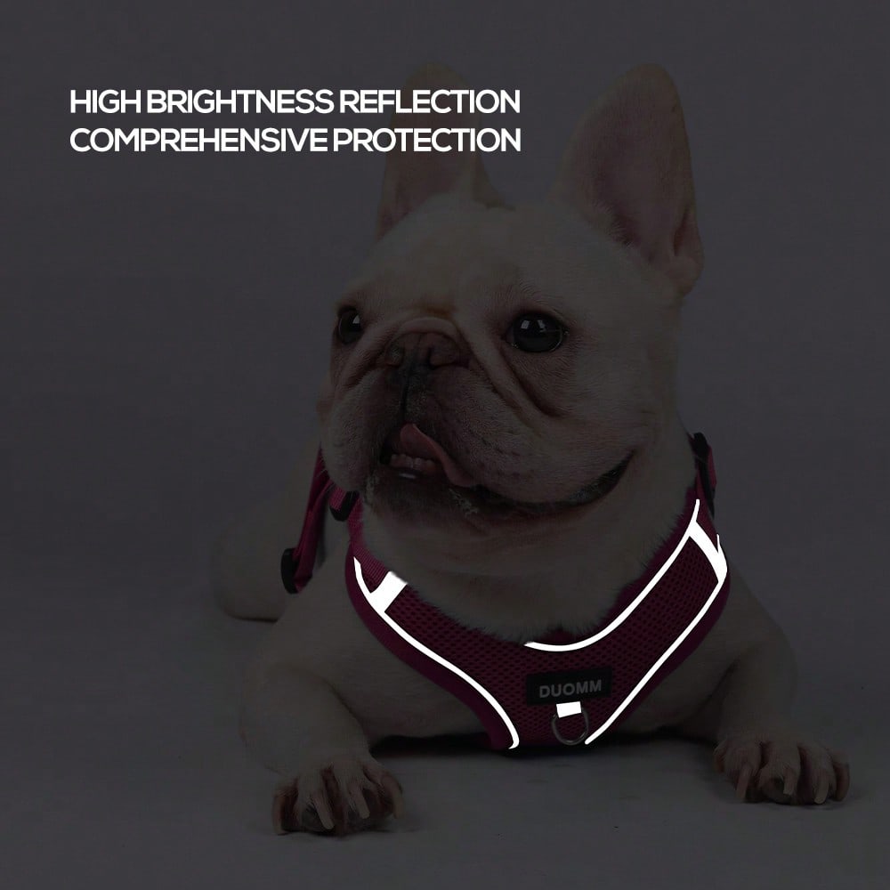 Black reflective dog leash set with adjustable polyester harness and collar, soft breathable mesh design for small and medium dogs during outdoor walks