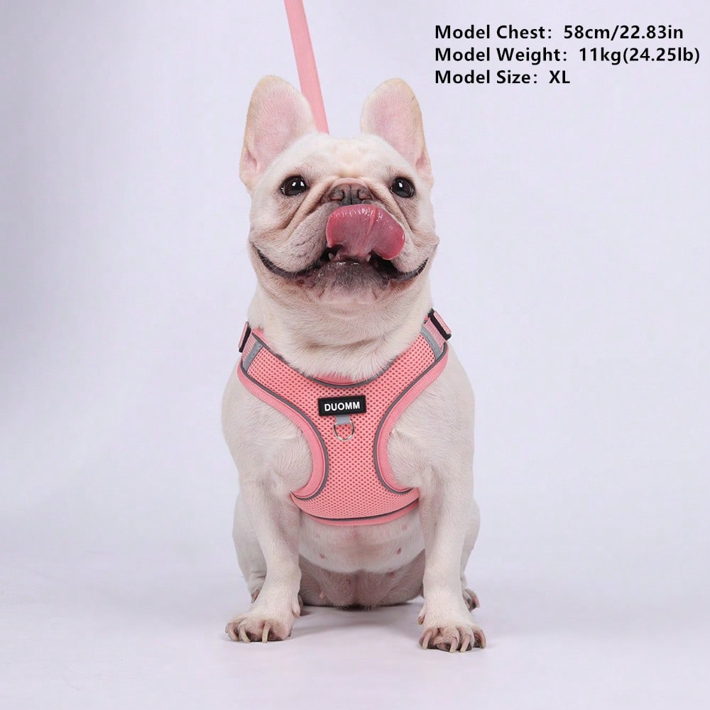 Black reflective dog leash set with adjustable polyester harness and collar, soft breathable mesh design for small and medium dogs during outdoor walks
