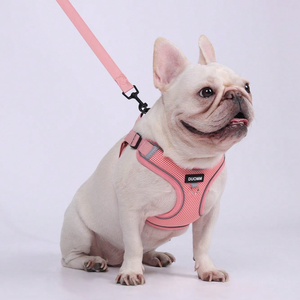Black reflective dog leash set with adjustable polyester harness and collar, soft breathable mesh design for small and medium dogs during outdoor walks