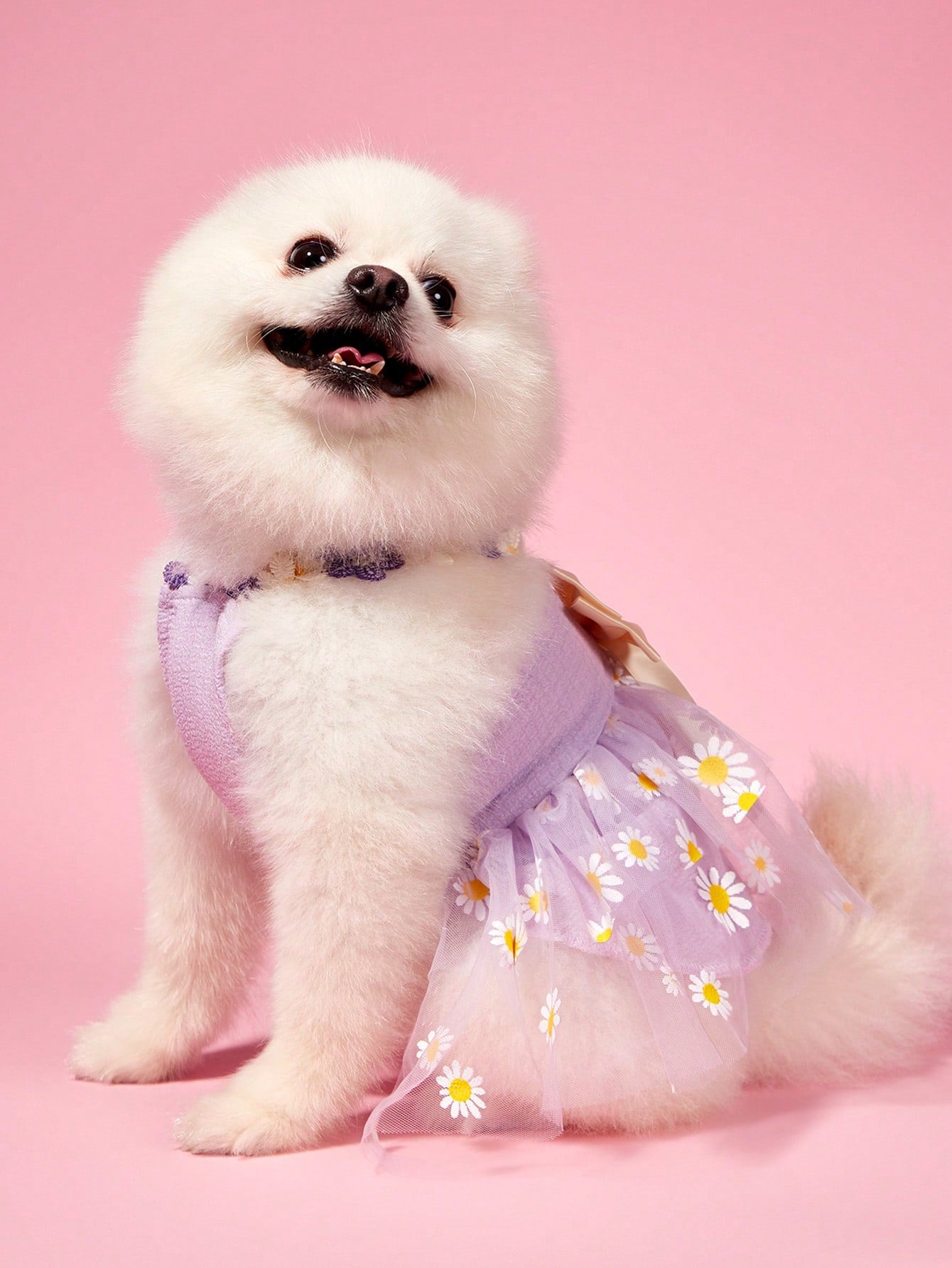 1pc Cute Small Daisy Lace Purple Tulle Bow Dress, Sweet Dog Apparel For Pet Universal