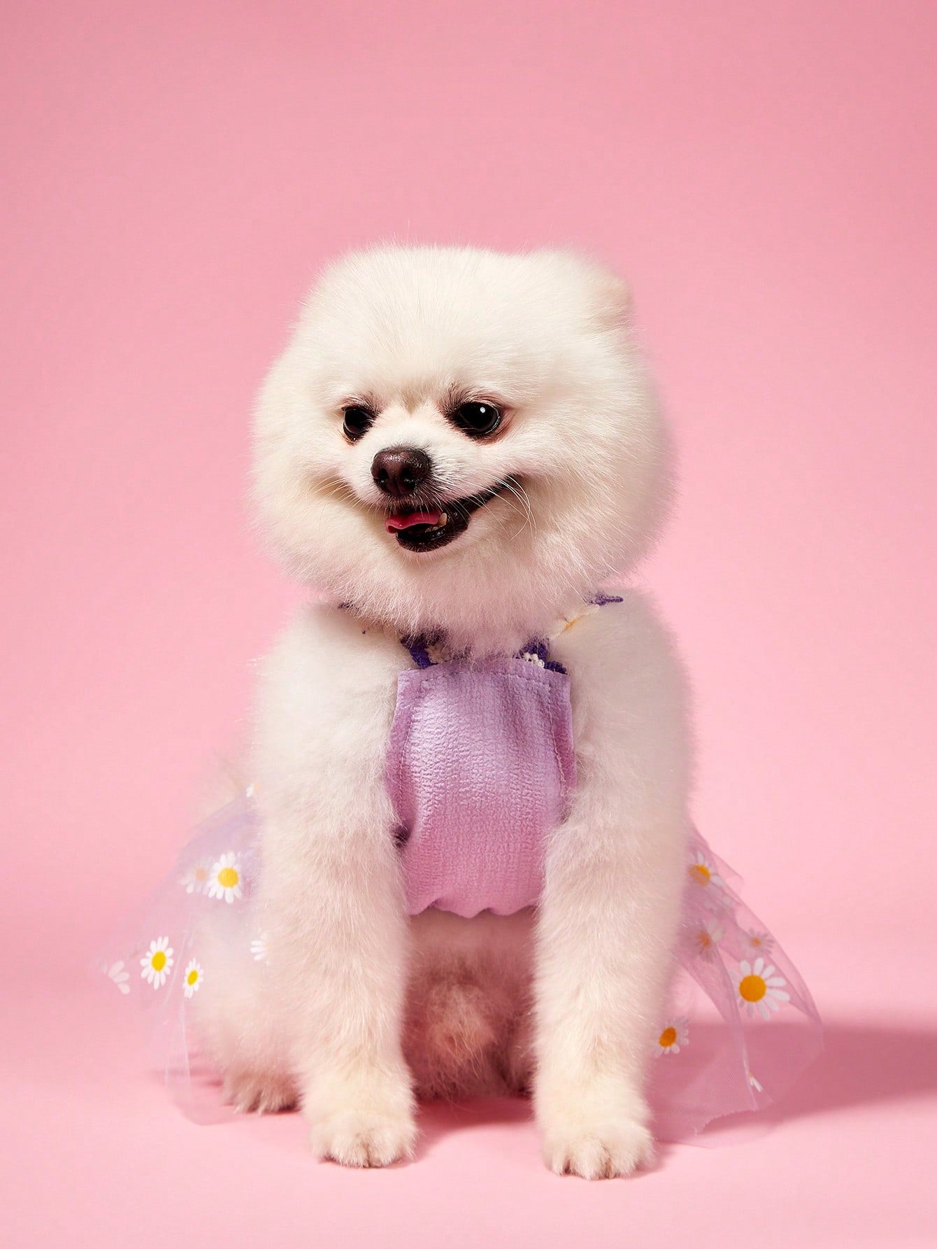 1pc Cute Small Daisy Lace Purple Tulle Bow Dress, Sweet Dog Apparel For Pet Universal
