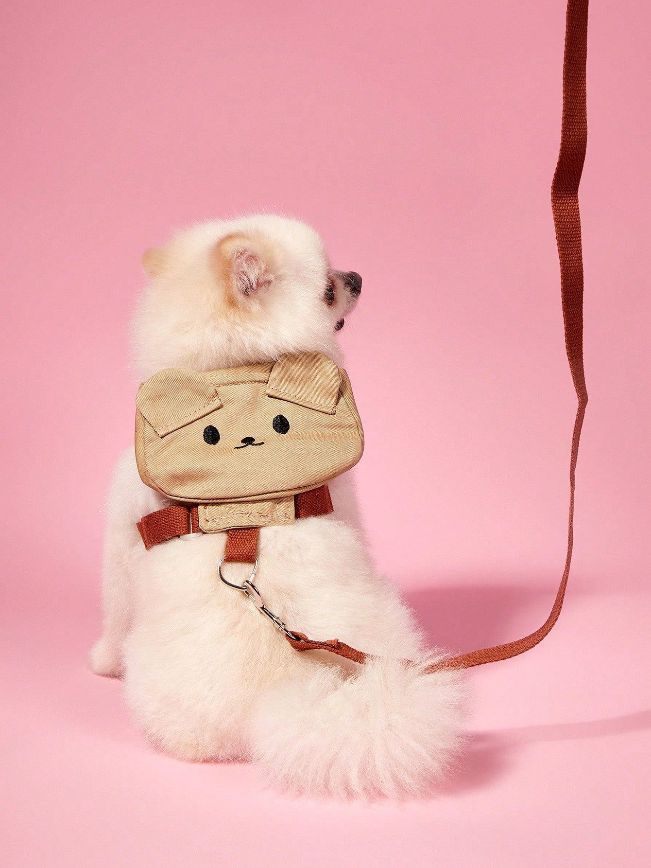 Multicolor cute pet clothes with detachable harness and leash set for cats, Teddy, Poodle, and other small pets, featuring animal and cartoon patterns.