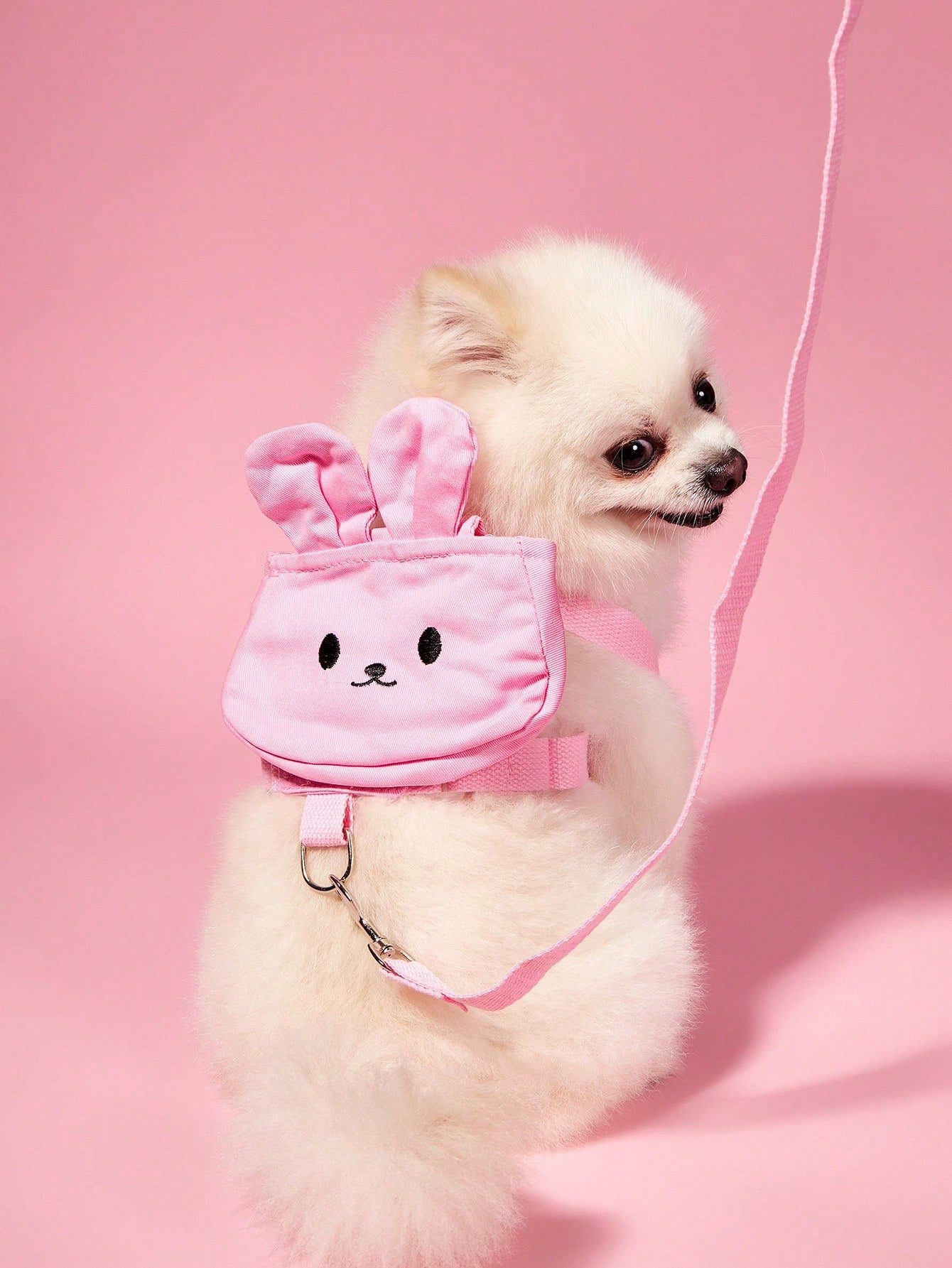 Multicolor cute pet clothes with detachable harness and leash set for cats, Teddy, Poodle, and other small pets, featuring animal and cartoon patterns.