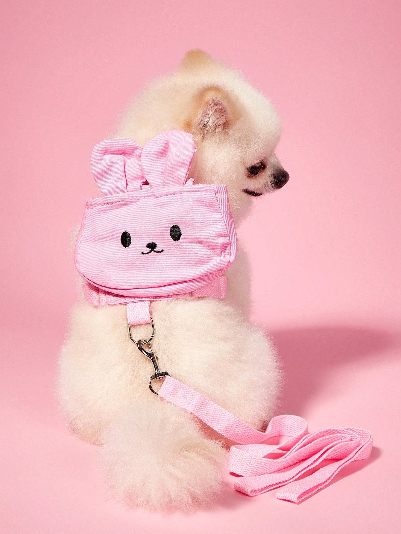 Multicolor cute pet clothes with detachable harness and leash set for cats, Teddy, Poodle, and other small pets, featuring animal and cartoon patterns.