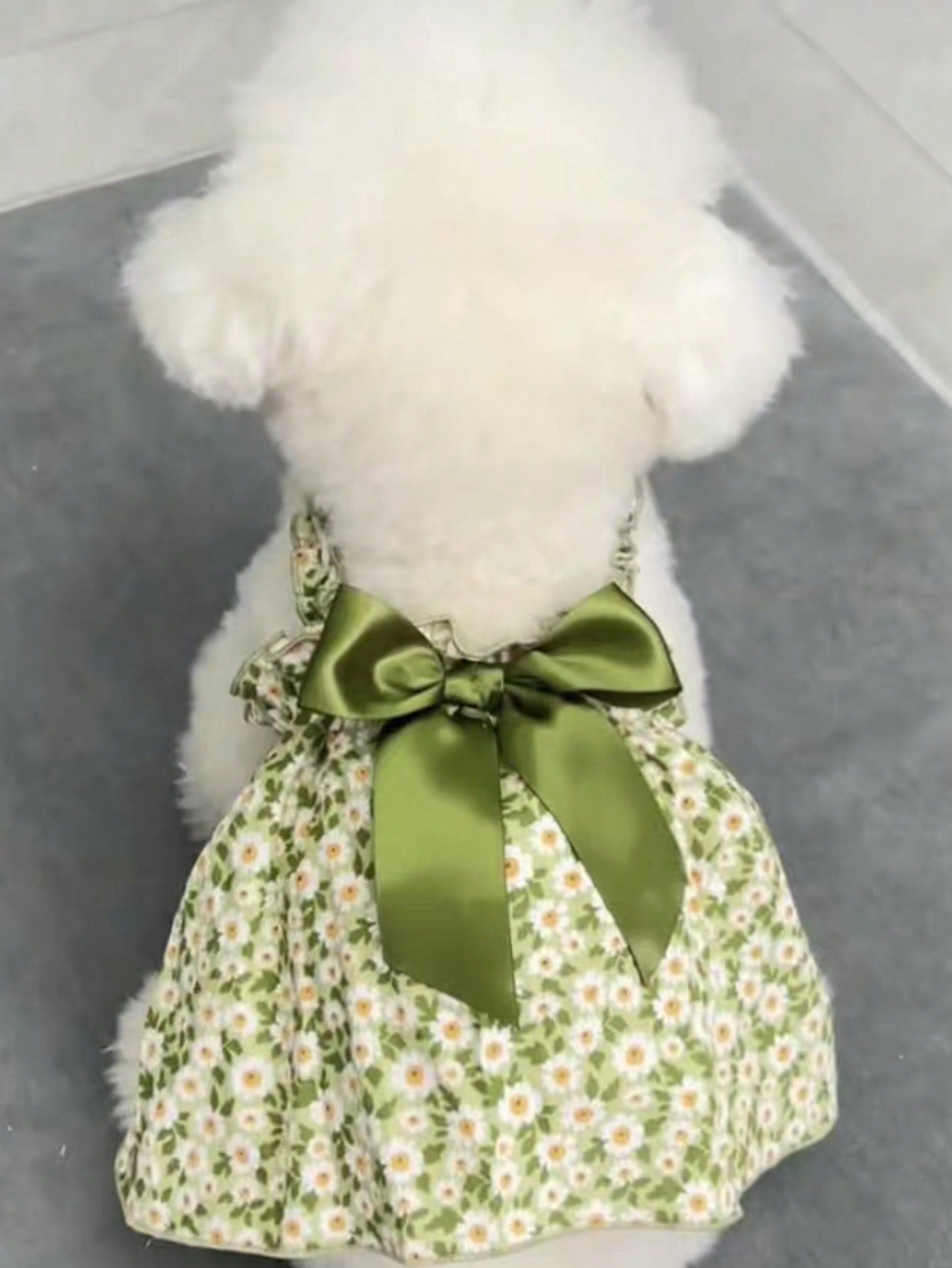 Small Dog Summer Princess Strap Dress, Pet Apparel For Small/Medium Dogs