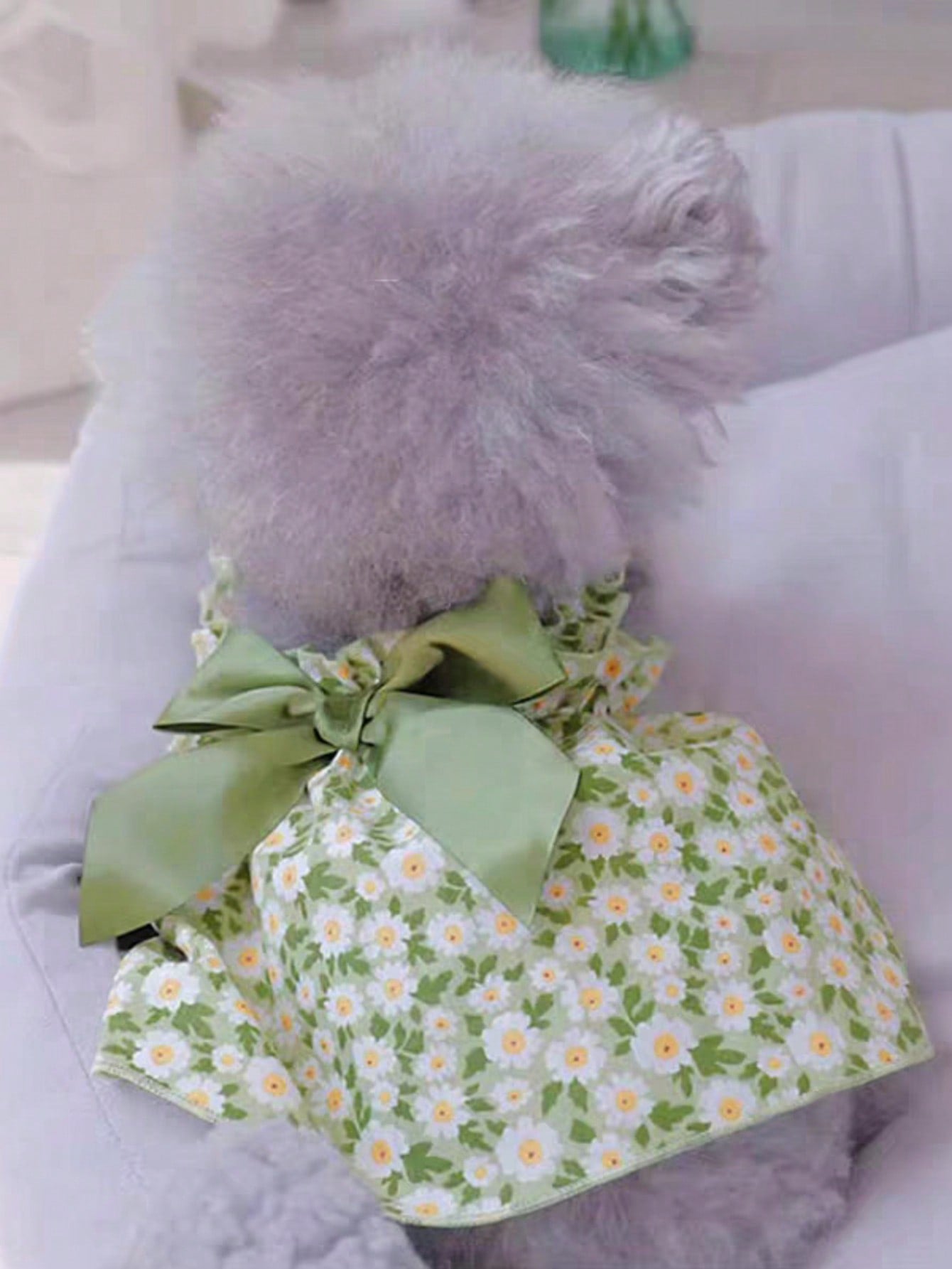 Small Dog Summer Princess Strap Dress, Pet Apparel For Small/Medium Dogs