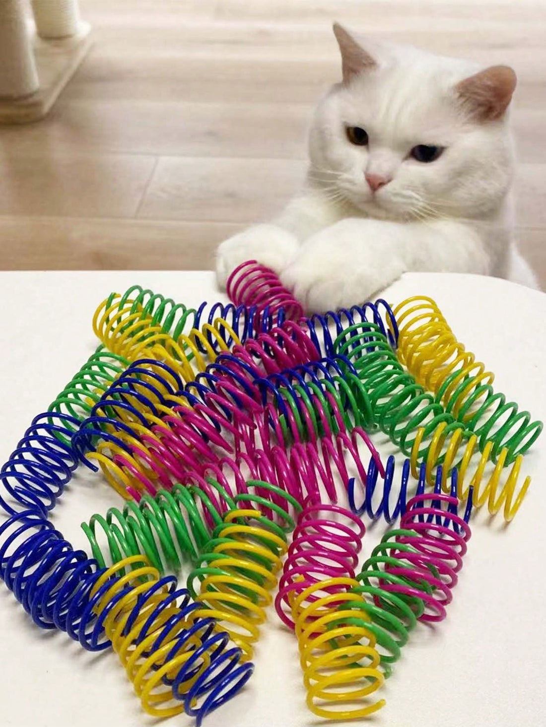 Pet Cat Self-Playing Toy, Plastic Colorful Spring Bouncing Interactive Teaser For Cats, Cat Supplies Cat Spiral Spring/Paper Crinkle Toys, 2/4/8/10/12/14/20/30/40/50/60 Pcs, Creative Toys To Kill Time And Keep Healthy Heavy-Duty Plastic Colorful Toys For