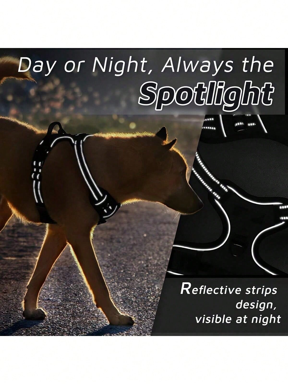 Reflective dog harness and 1.5m leash set with breathable colorblock polyamide chest strap for cats, puppies, and small to large dogs