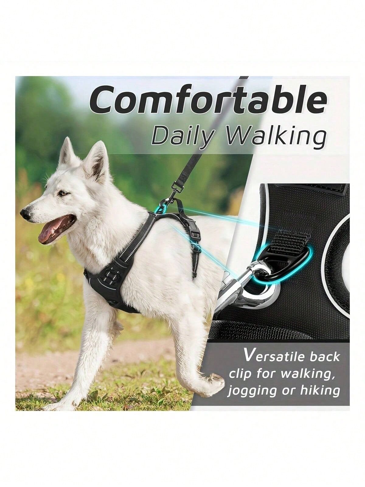 Reflective dog harness and 1.5m leash set with breathable colorblock polyamide chest strap for cats, puppies, and small to large dogs