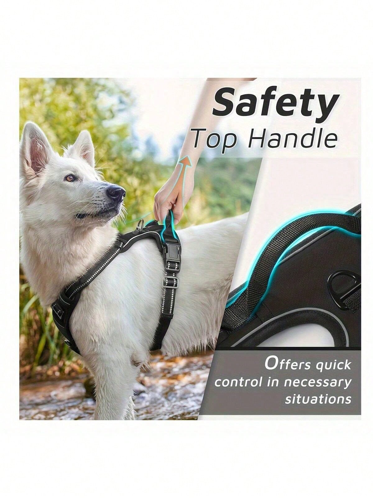 Reflective dog harness and 1.5m leash set with breathable colorblock polyamide chest strap for cats, puppies, and small to large dogs