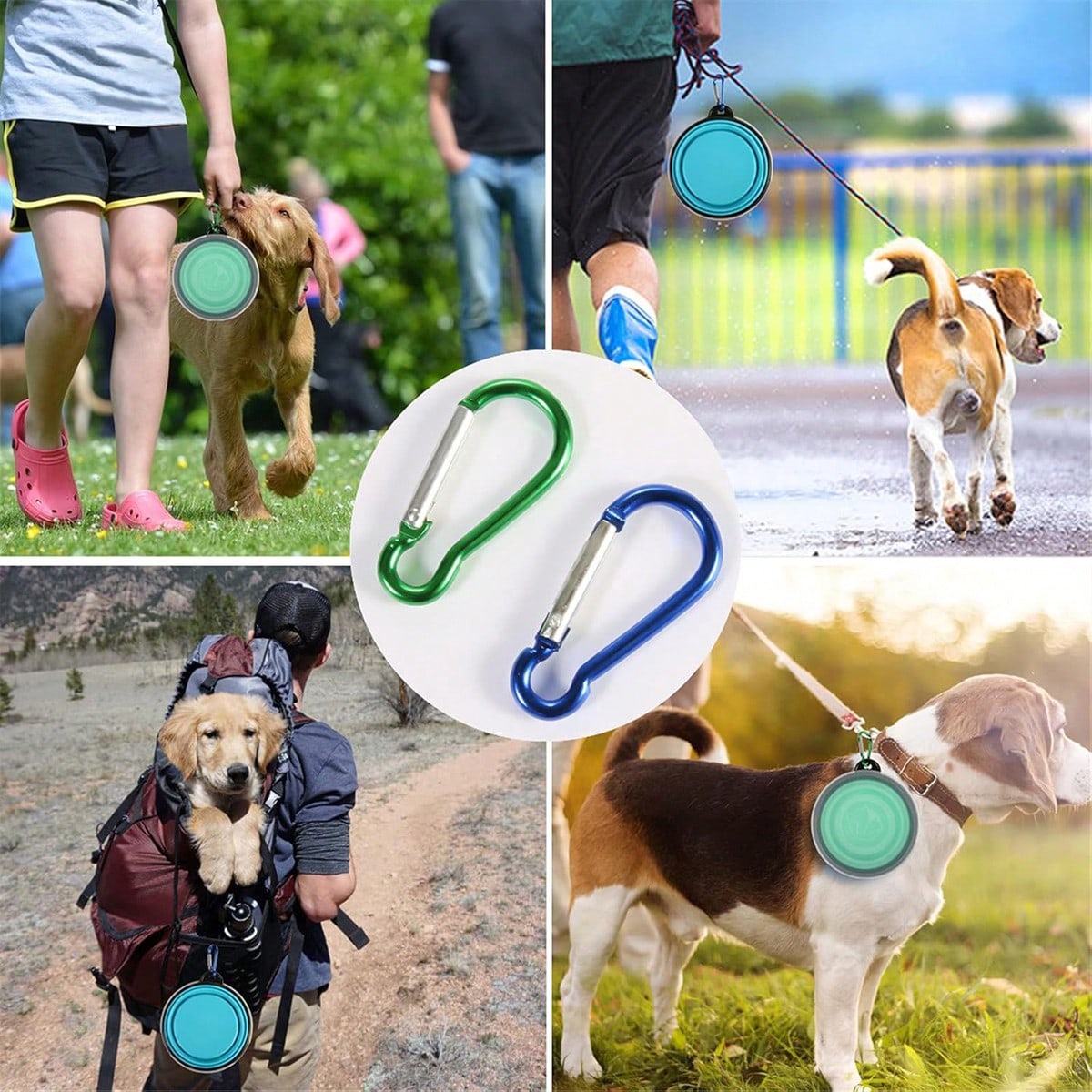 1/2 Pcs Collapsible Bowl With Cover Lids,2 Packs Dog Travel Bowls Portable Foldable Cat Water Dish Bowl For Pets Walking Parking Camping