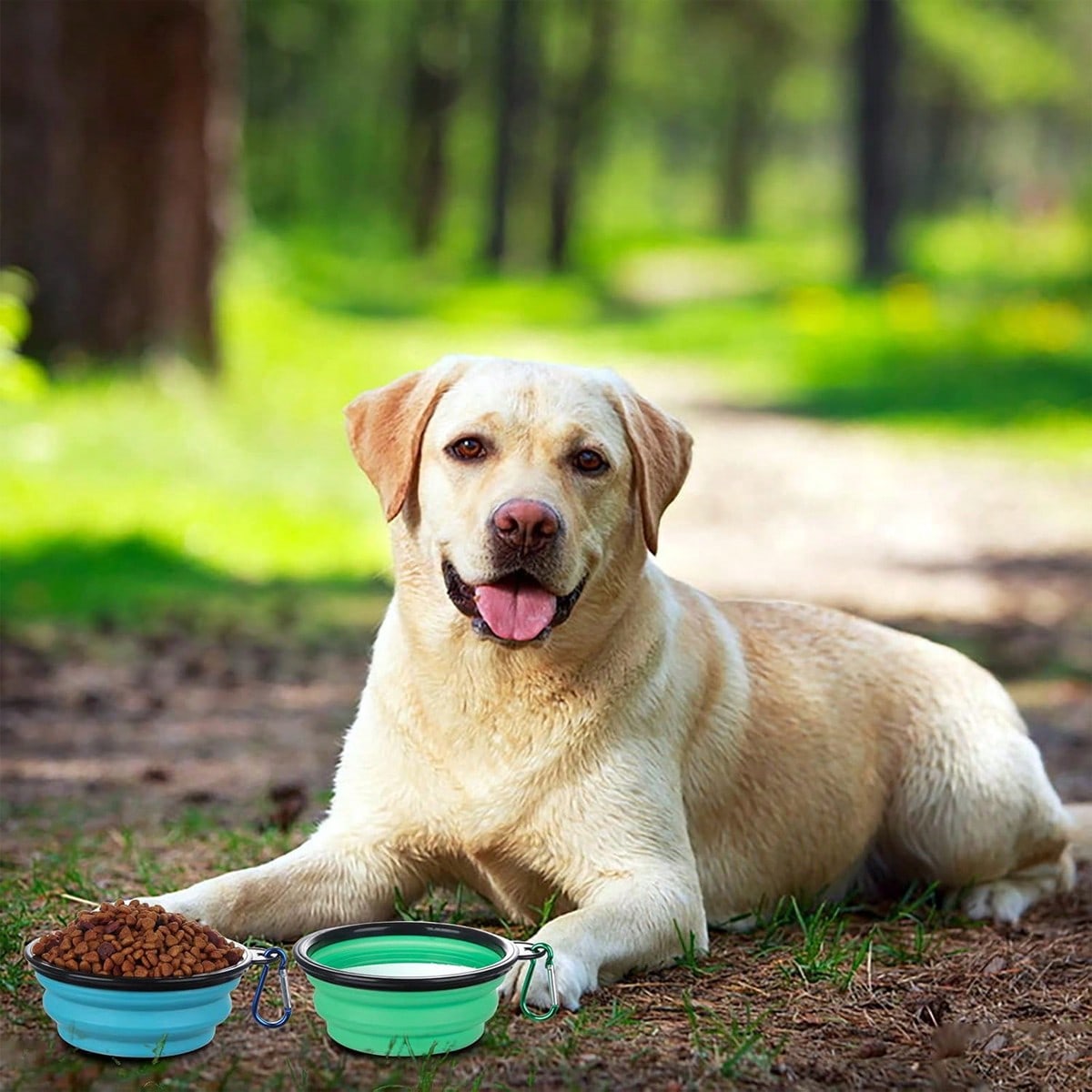 1/2 Pcs Collapsible Bowl With Cover Lids,2 Packs Dog Travel Bowls Portable Foldable Cat Water Dish Bowl For Pets Walking Parking Camping