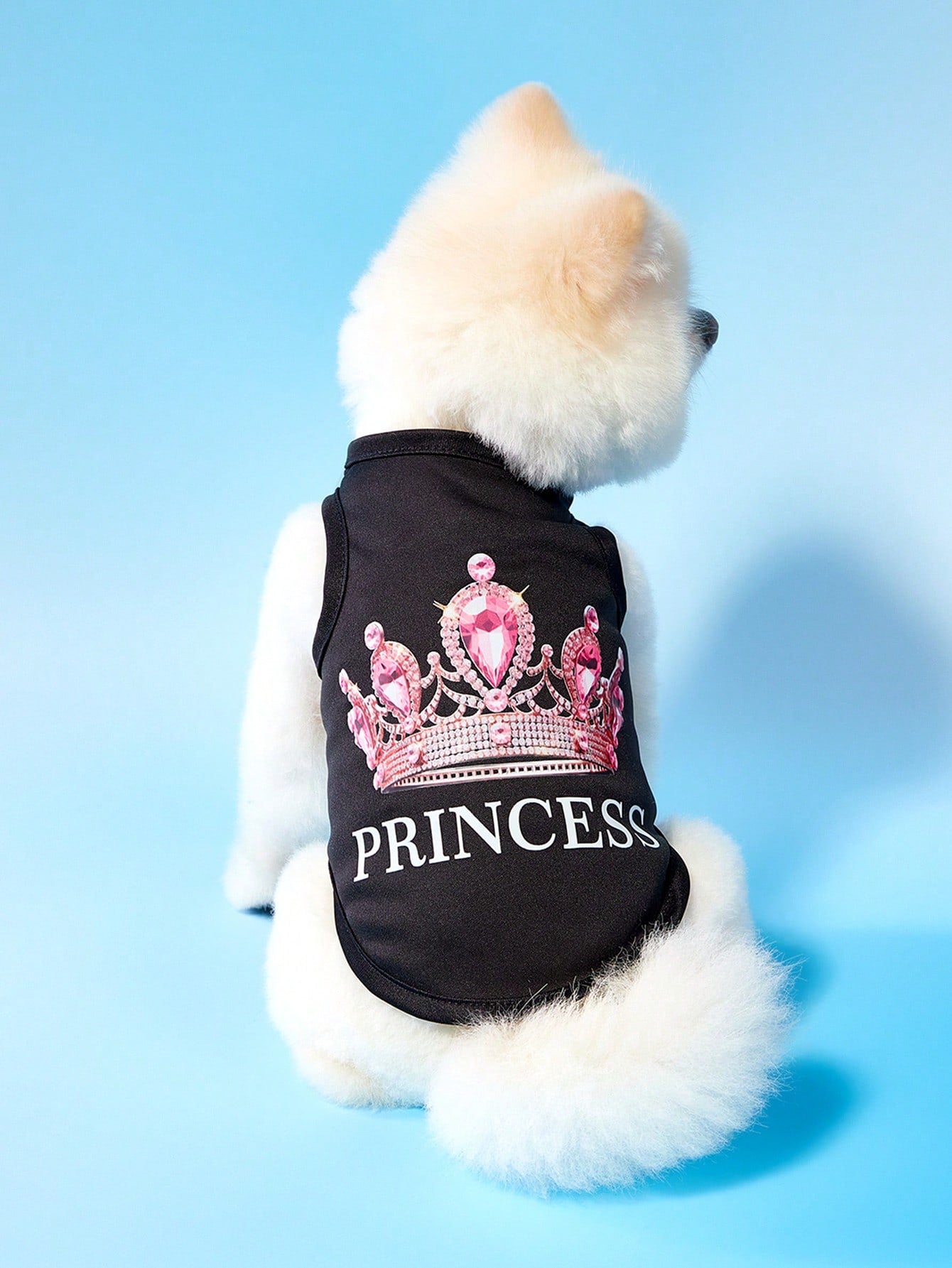 2pcs Princess Style Diamond Crown & English Text Print Breathable Cool Dog/Cat Vest/Top, Suitable For Pets